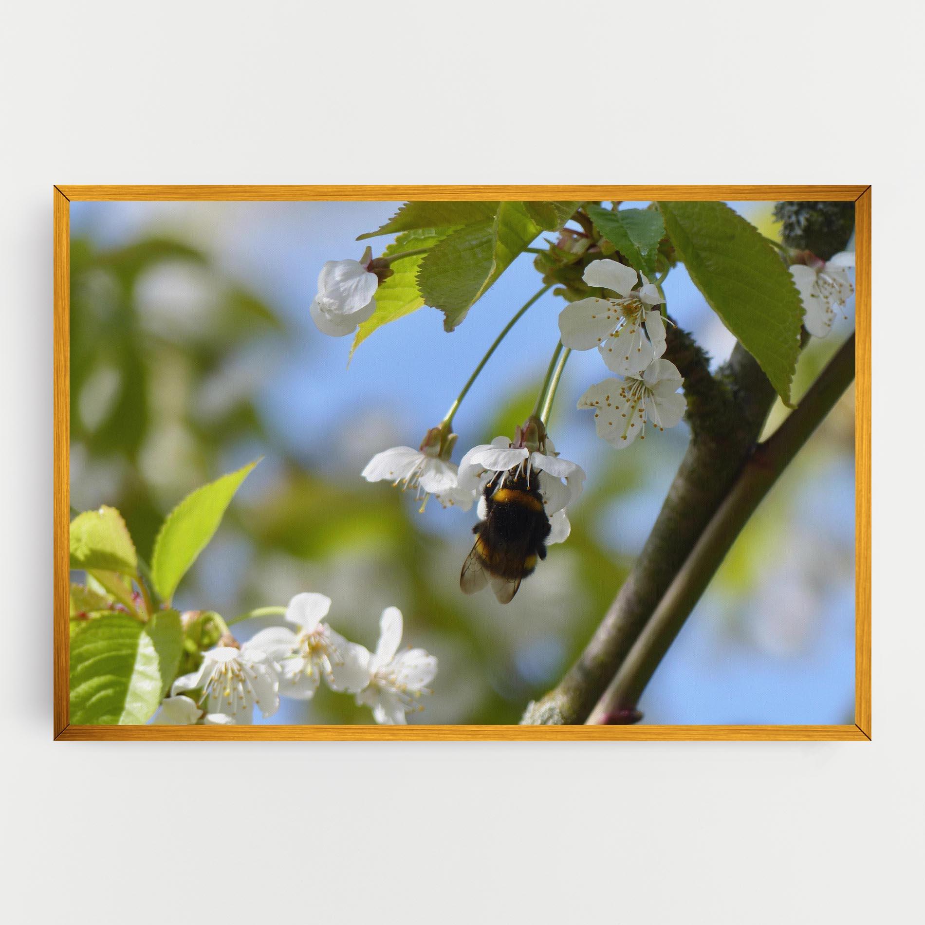 Tablou Canvas Bee Wild Tree mockup 0