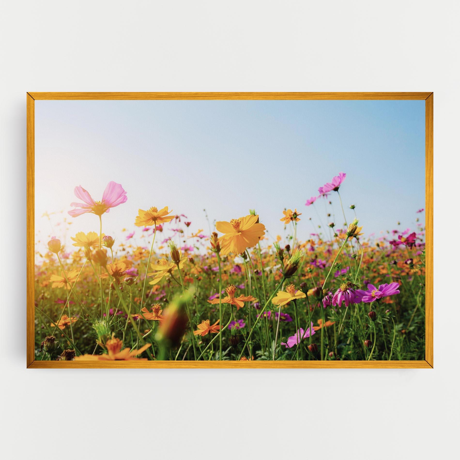 Tablou Canvas Cosmos Field Sunset mockup 0