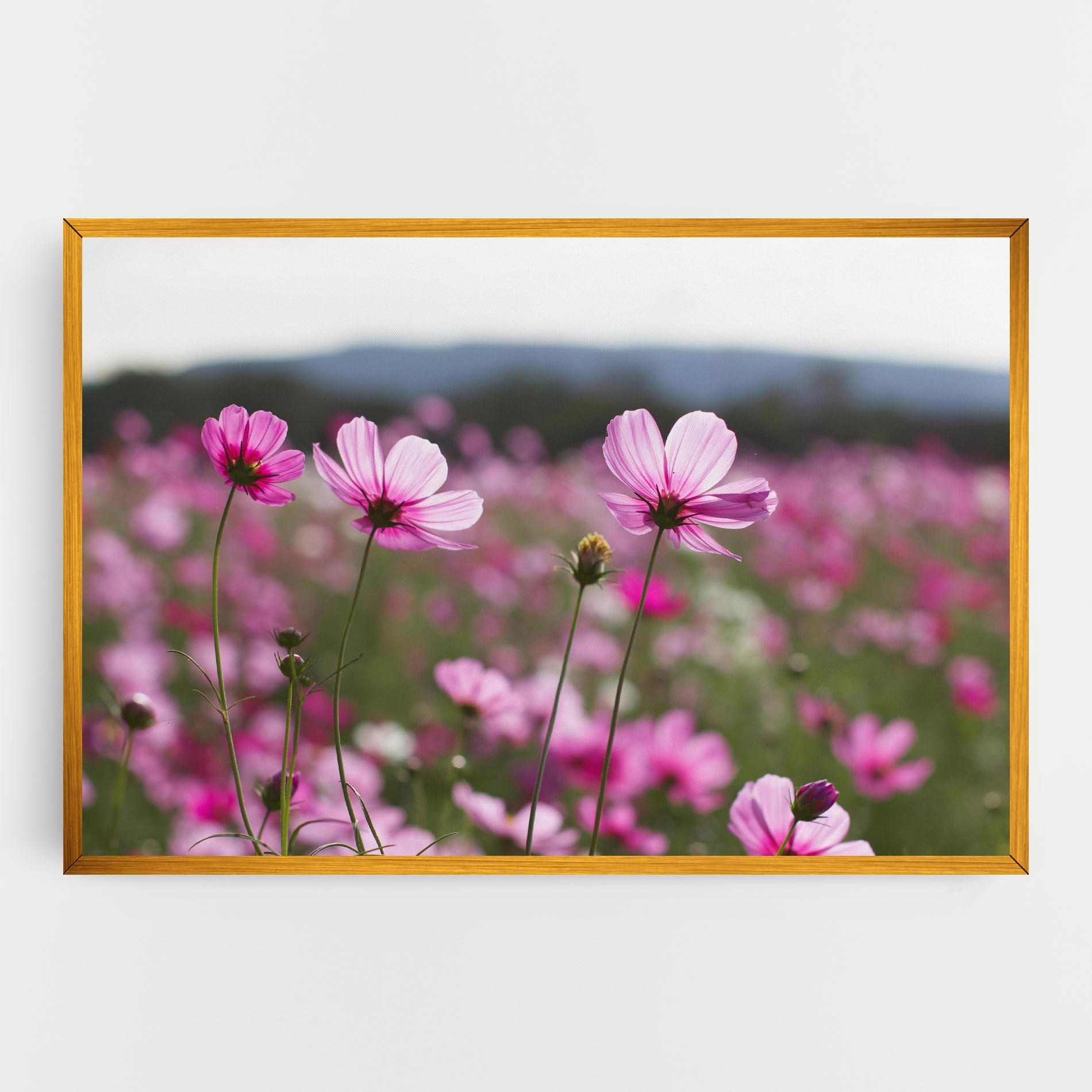 Tablou Canvas Cosmos Flower mockup 0