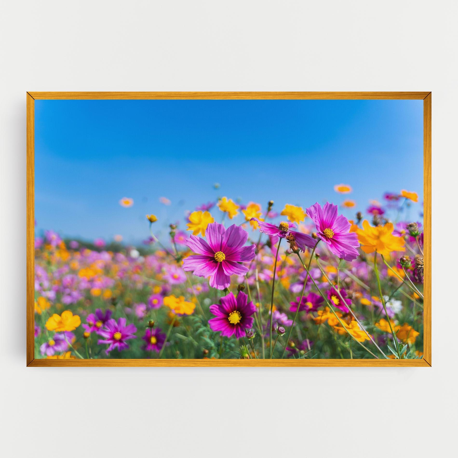 Tablou Canvas Cosmos Flowers Grassland mockup 0