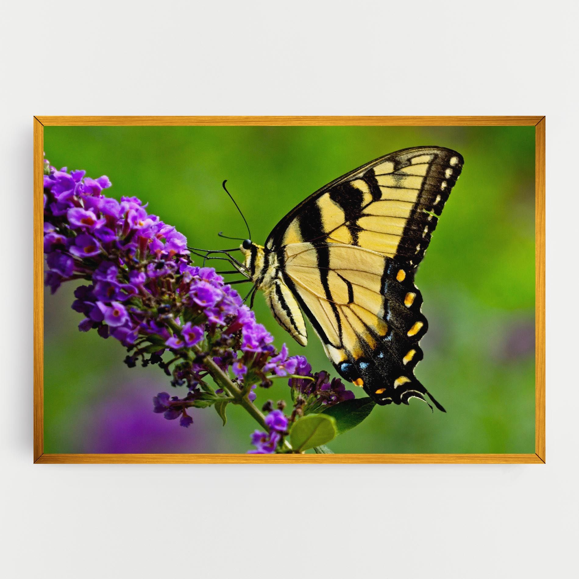 Cream Wild Butterfly mockup 0