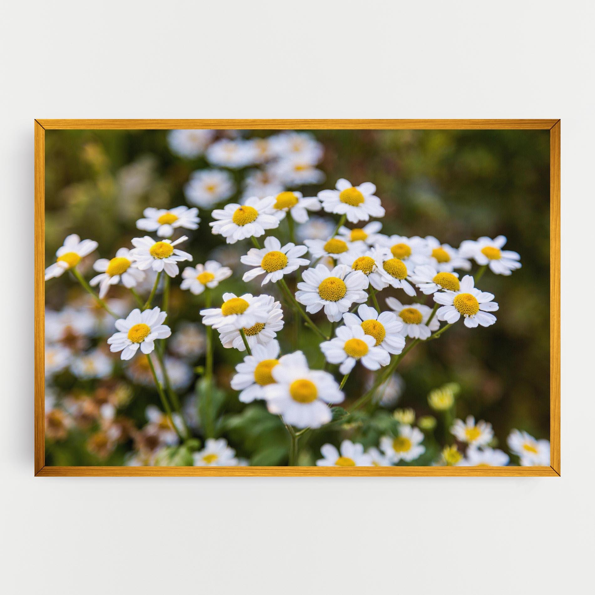 Tablou Canvas Flowers Garden mockup 0