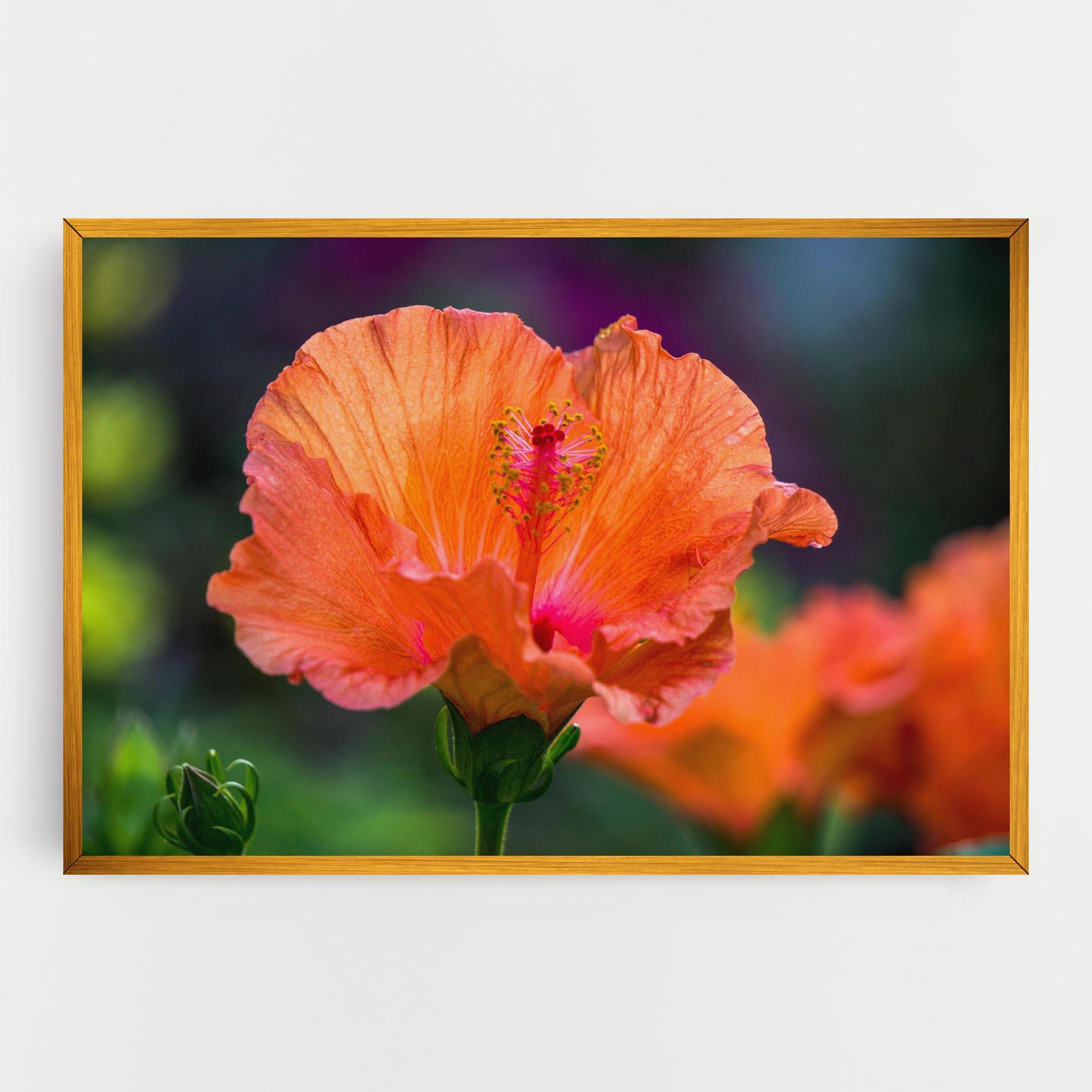 Tablou Canvas Orange Wild Flower mockup 0