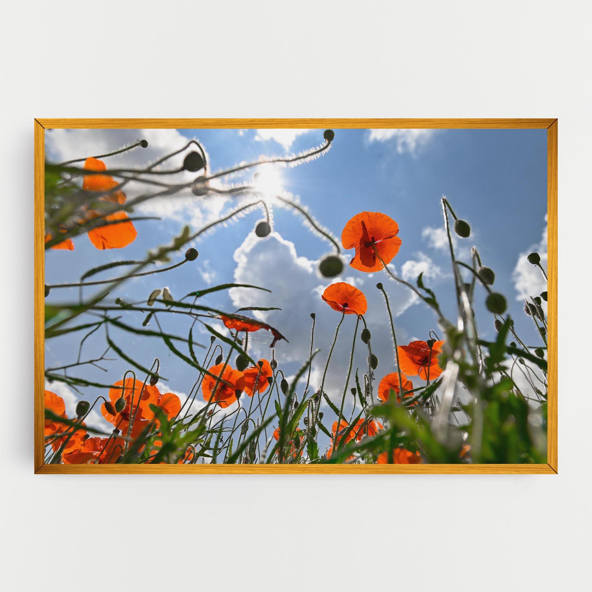 Tablou Canvas Wild Poppy Daylight mockup 0