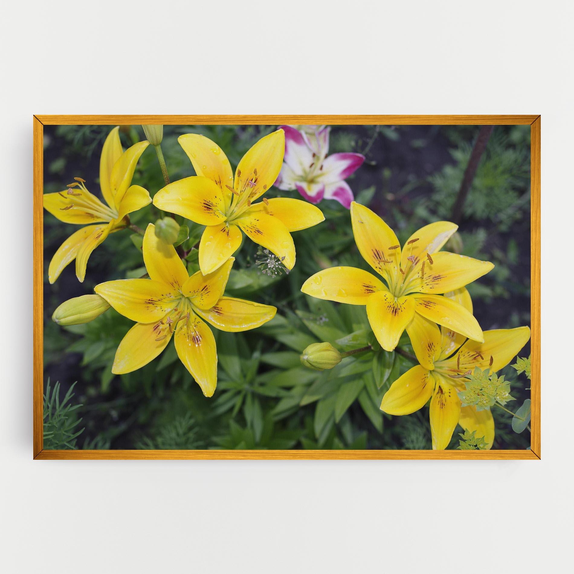 Tablou Canvas Yellow Flowers mockup 0
