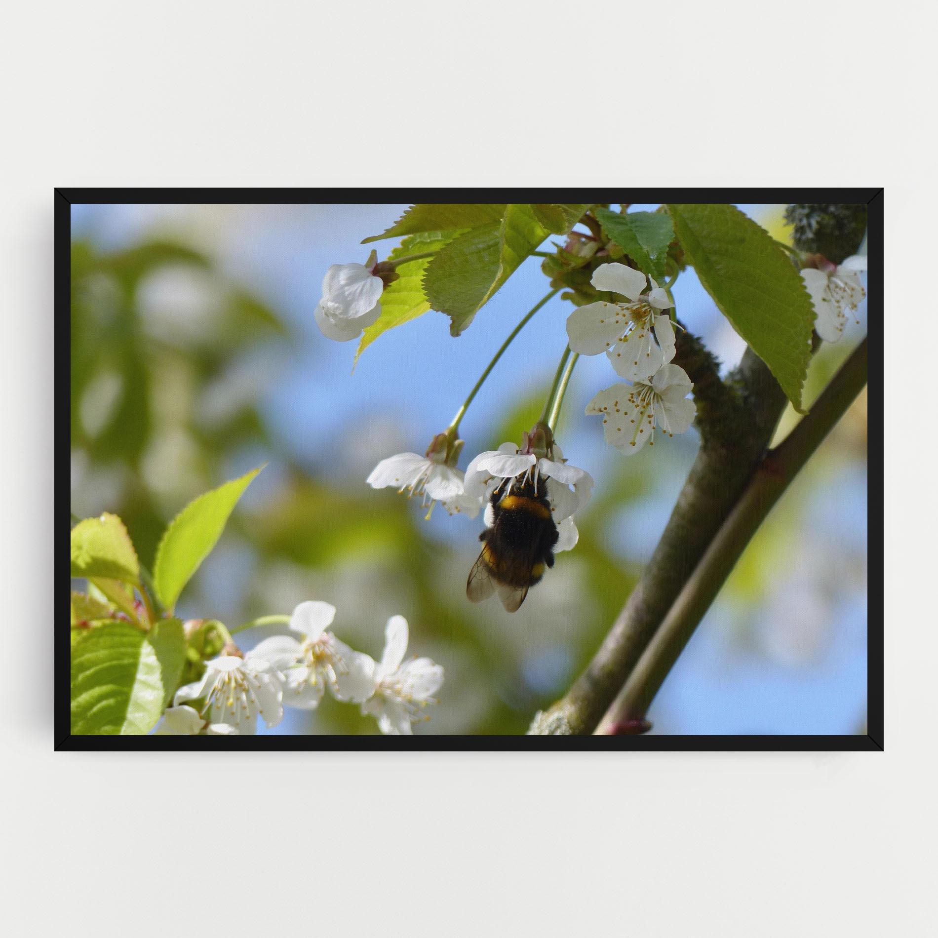 Tablou Canvas Bee Wild Tree mockup 0