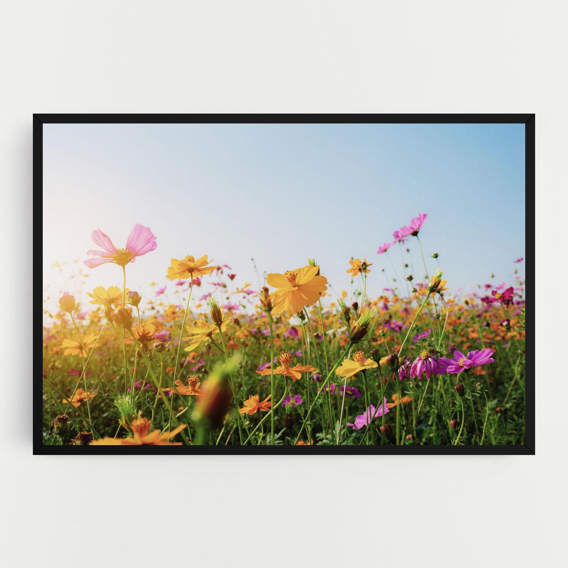 Tablou Canvas Cosmos Field Sunset mockup 0