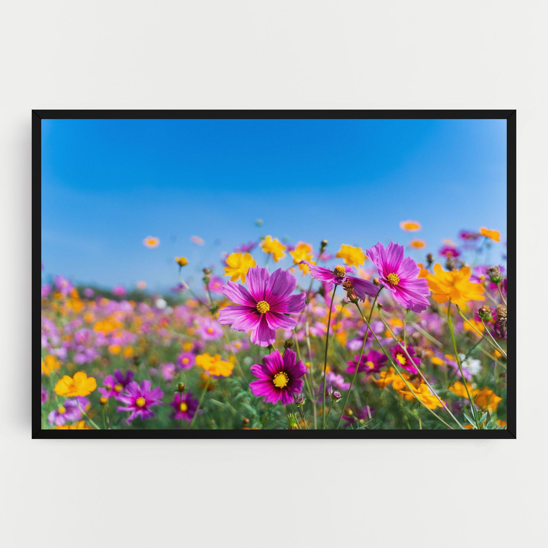 Tablou Canvas Cosmos Flowers Grassland mockup 0