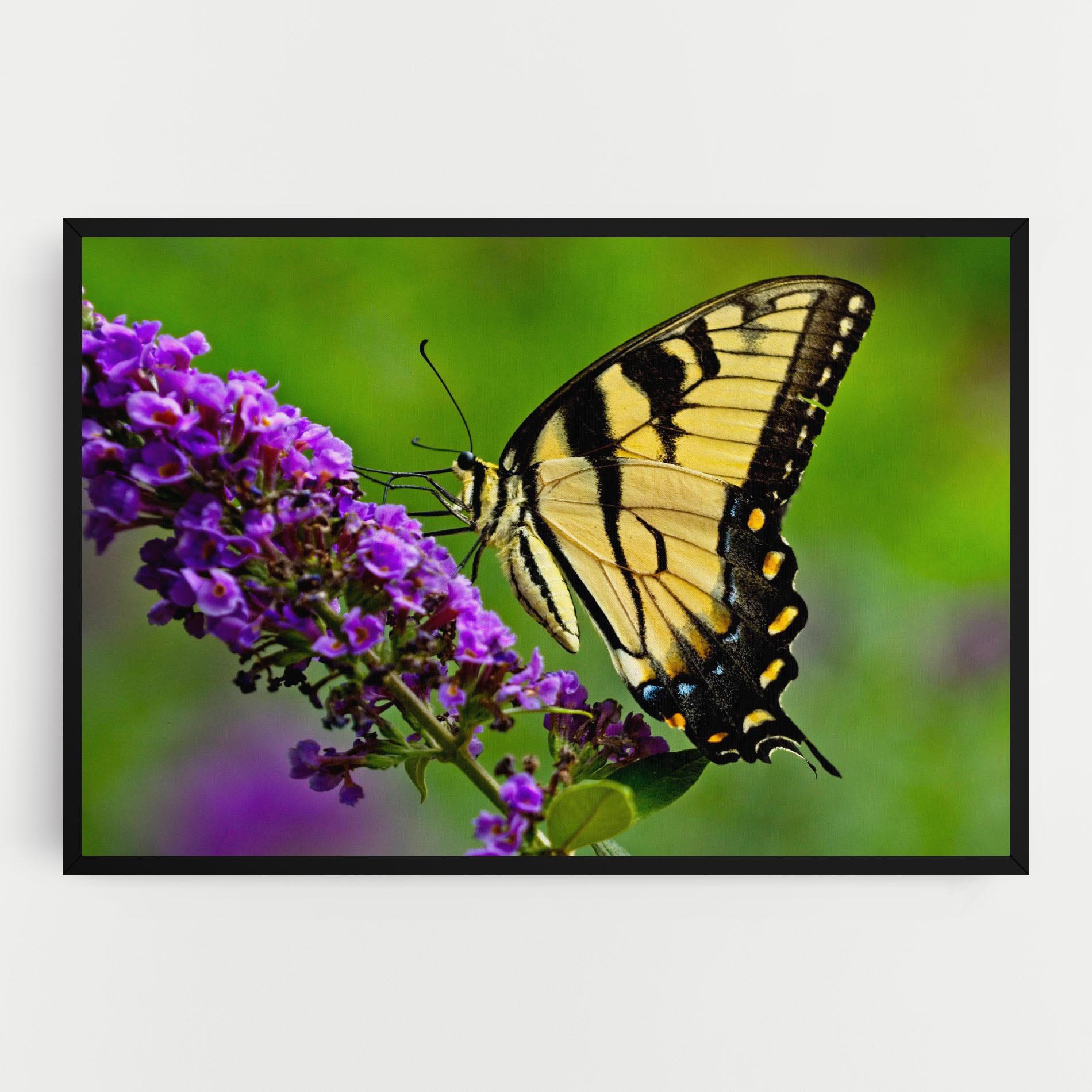 Tablou Canvas Cream Wild Butterfly mockup 0