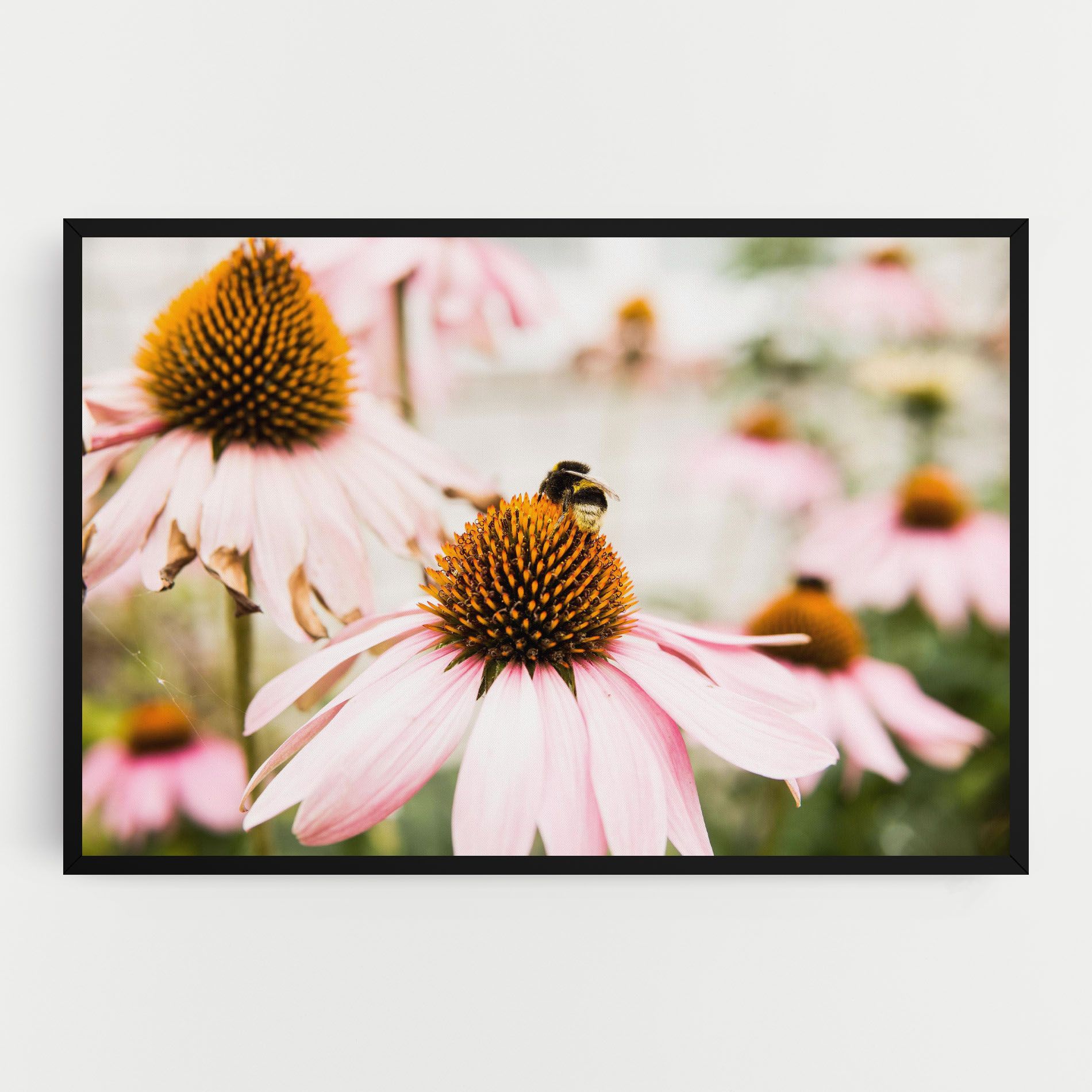 Daylight Flower mockup 0