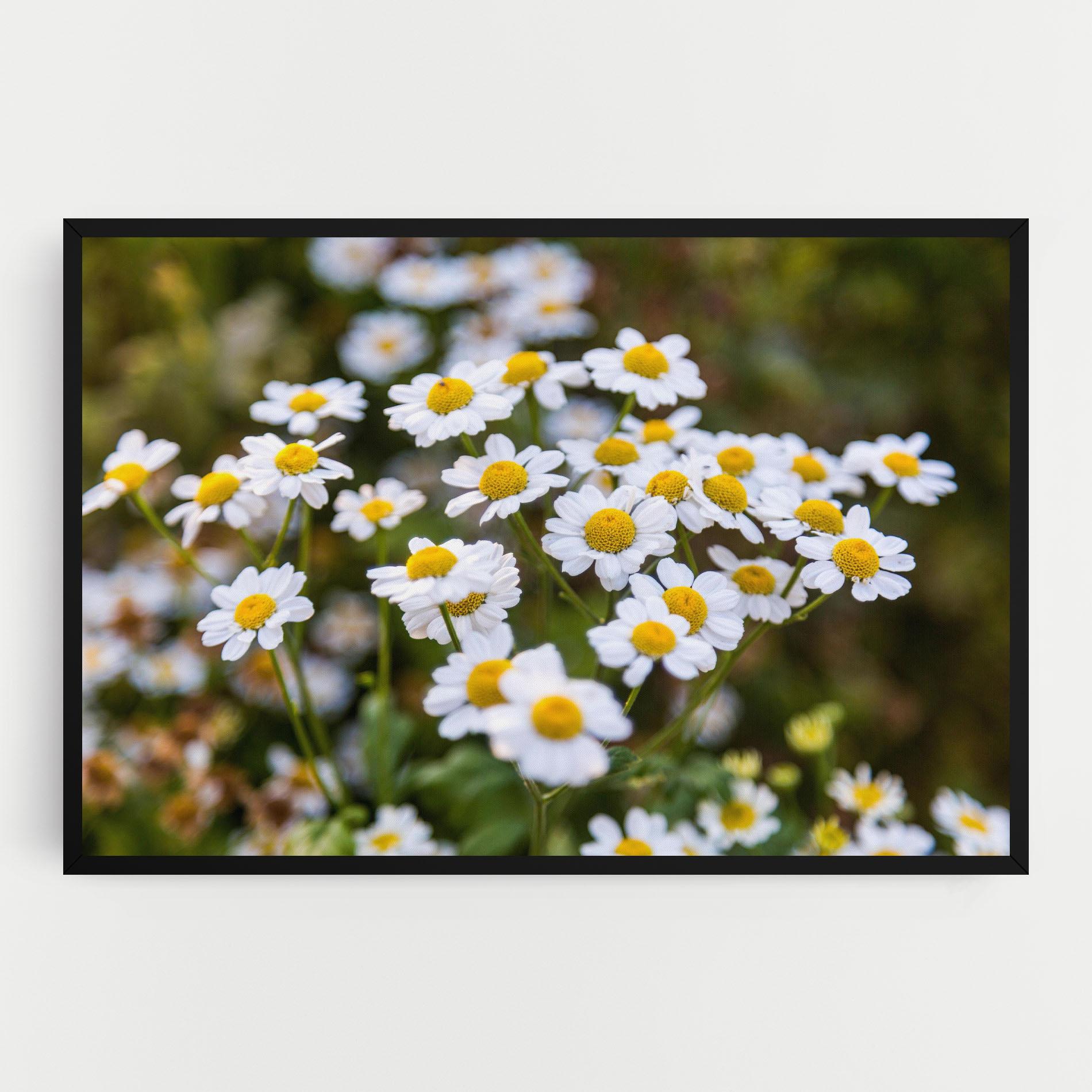 Tablou Canvas Flowers Garden mockup 0