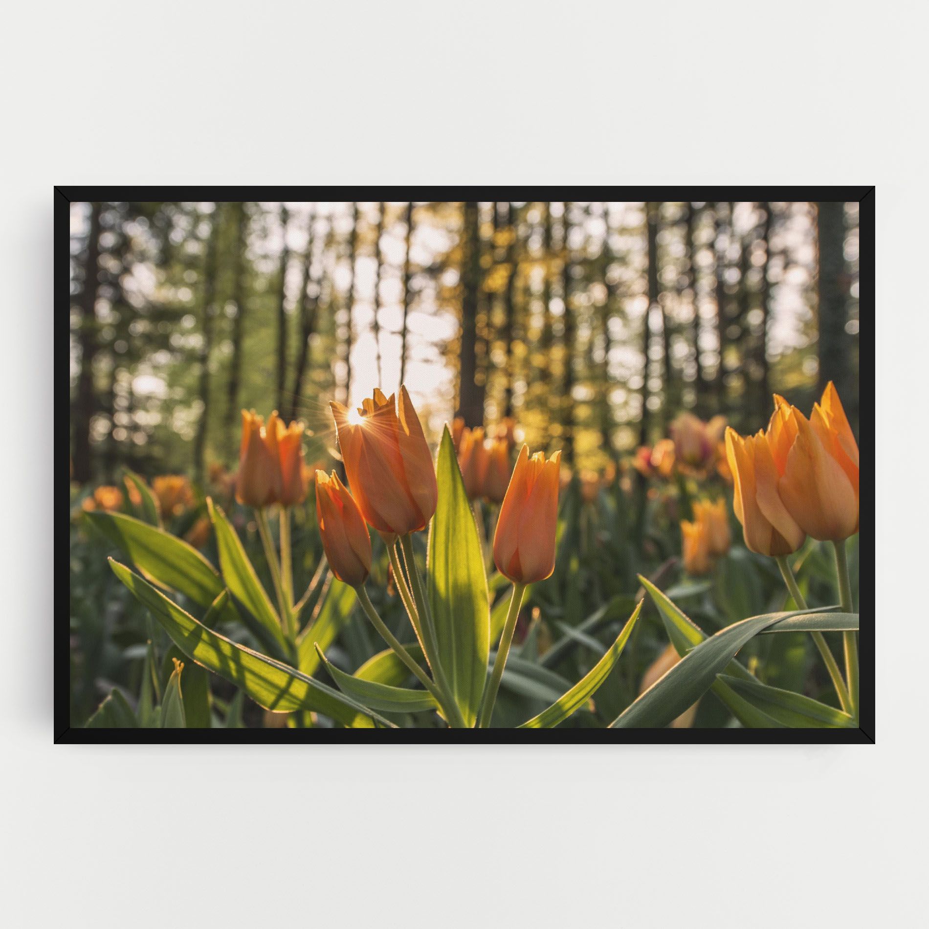 Forest Tulips mockup 0