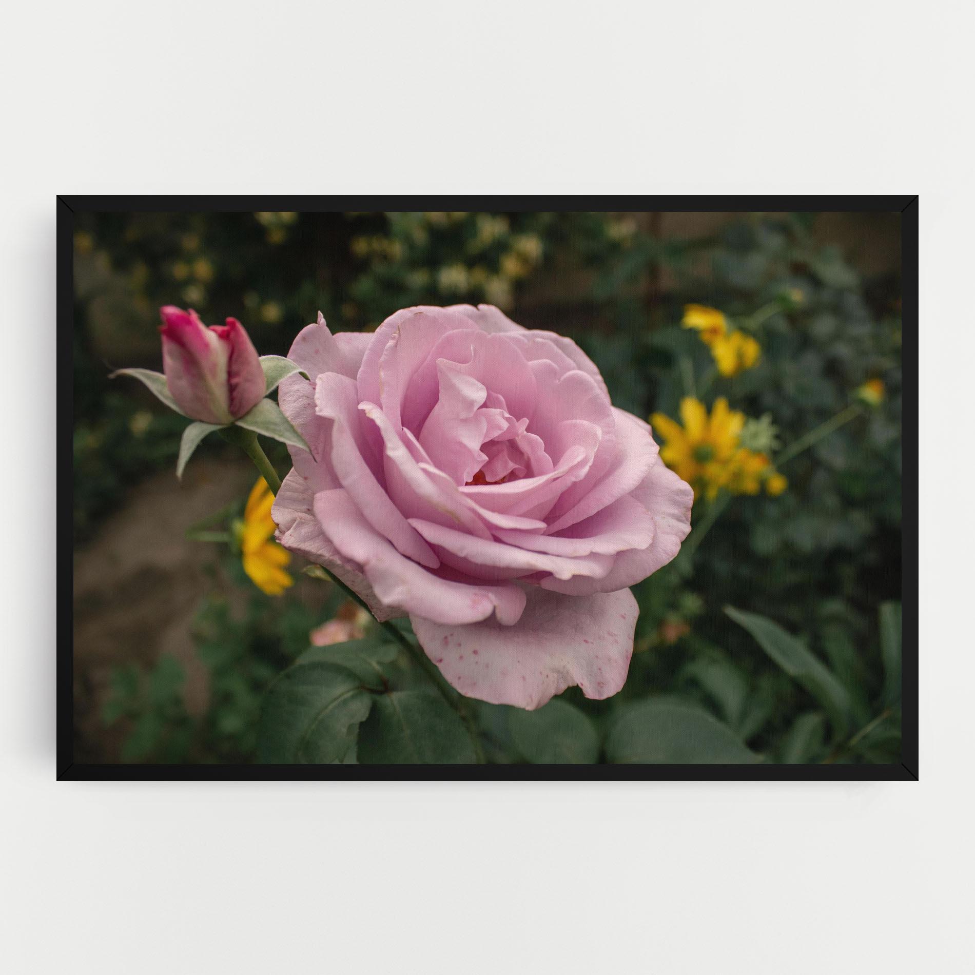 Tablou Canvas Garden Pink Rose mockup 0
