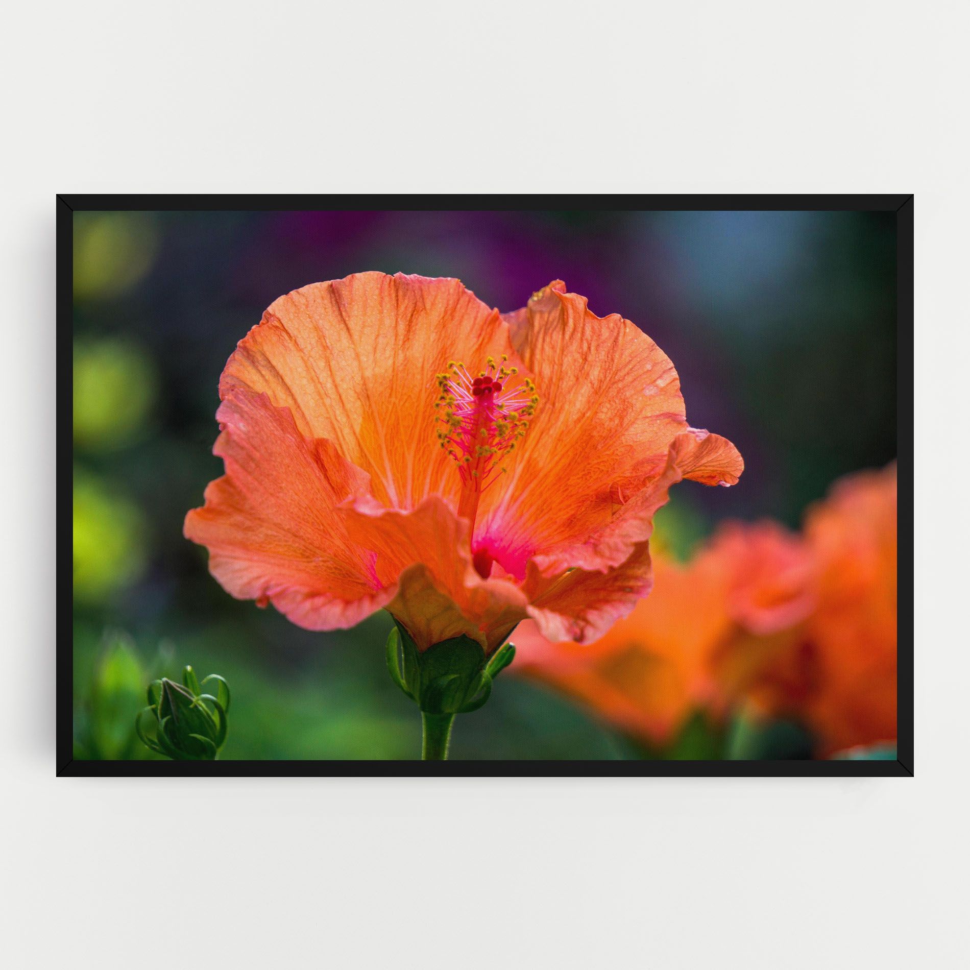 Orange Wild Flower mockup 0