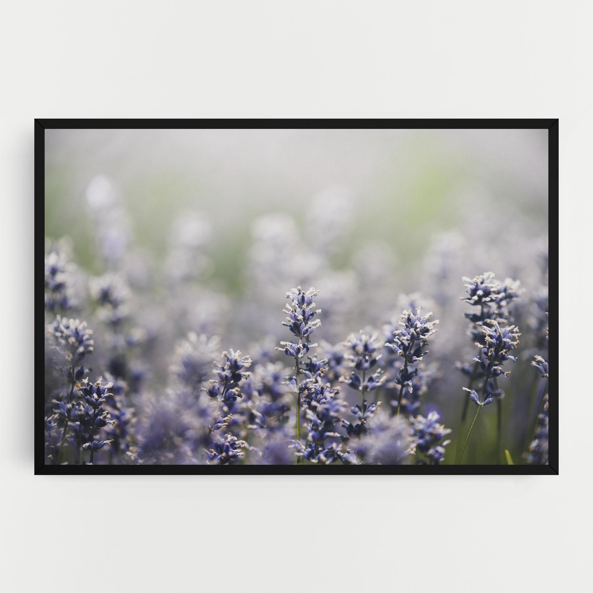 Tablou Canvas White Purple Wild mockup 0