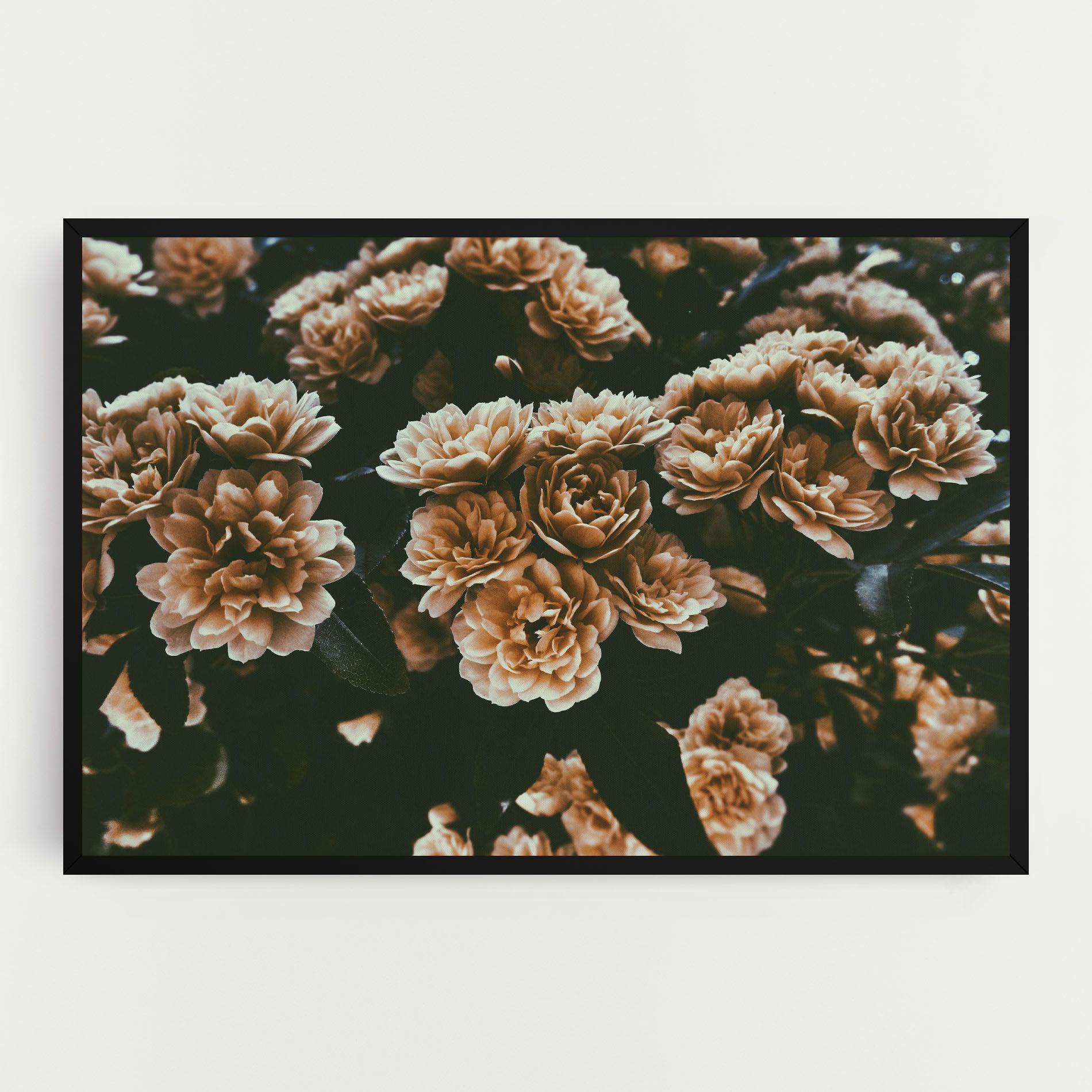 Wild Cream Flower mockup 0