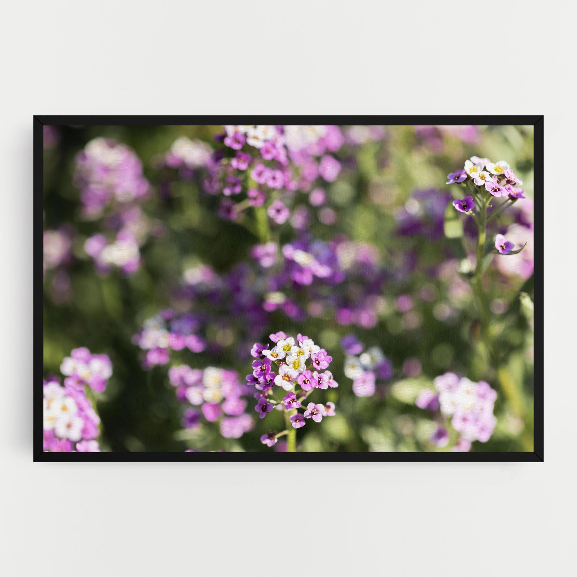 Tablou Canvas Wild Purple Field mockup 0