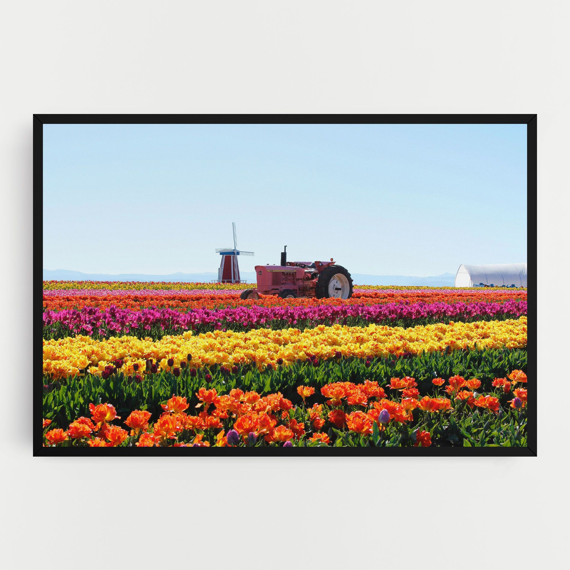 Working Wild Field mockup 0