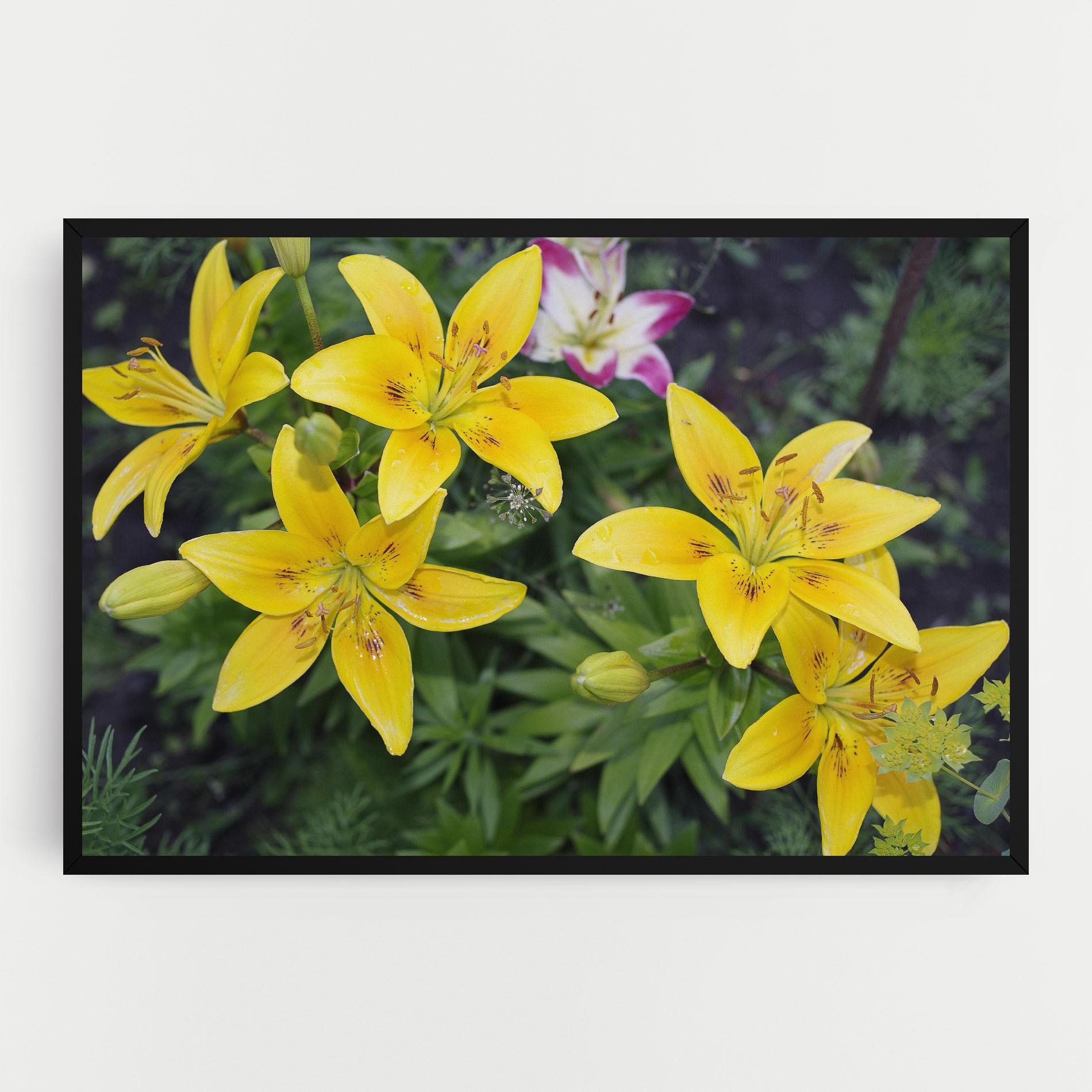 Tablou Canvas Yellow Flowers mockup 0