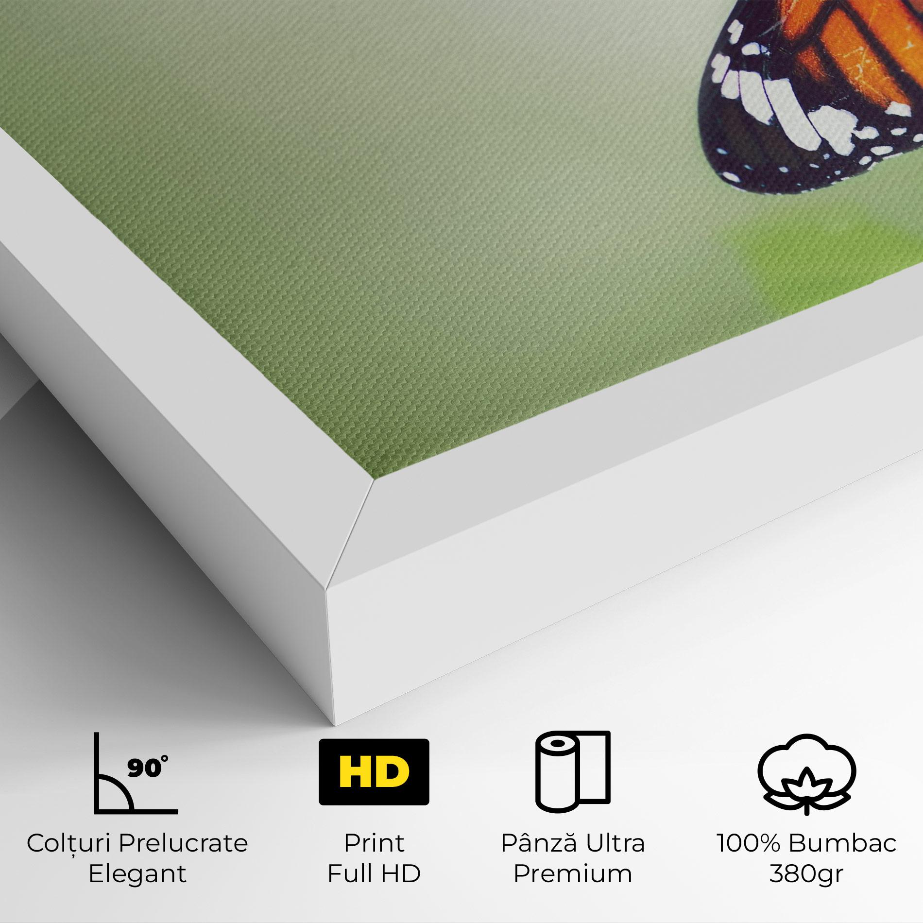 Tablou Canvas Butterfly Wild Plant mockup 4