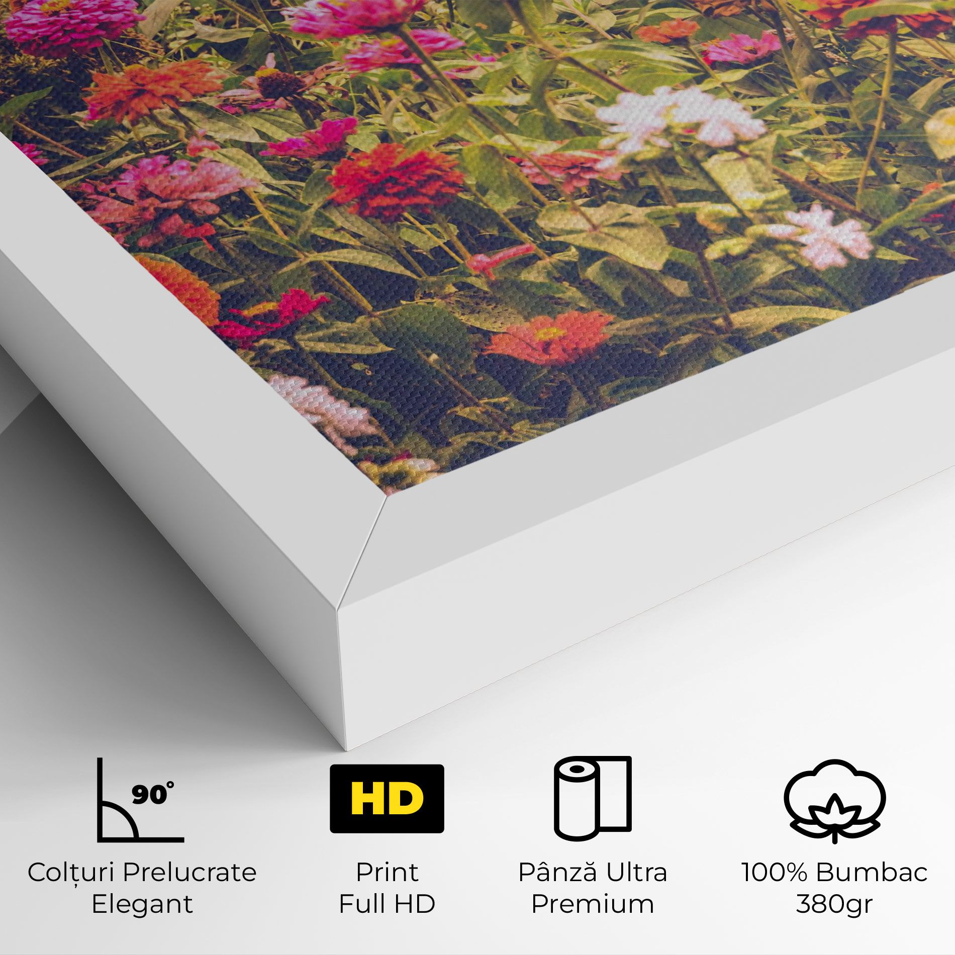 Colorful Wild Field mockup 4