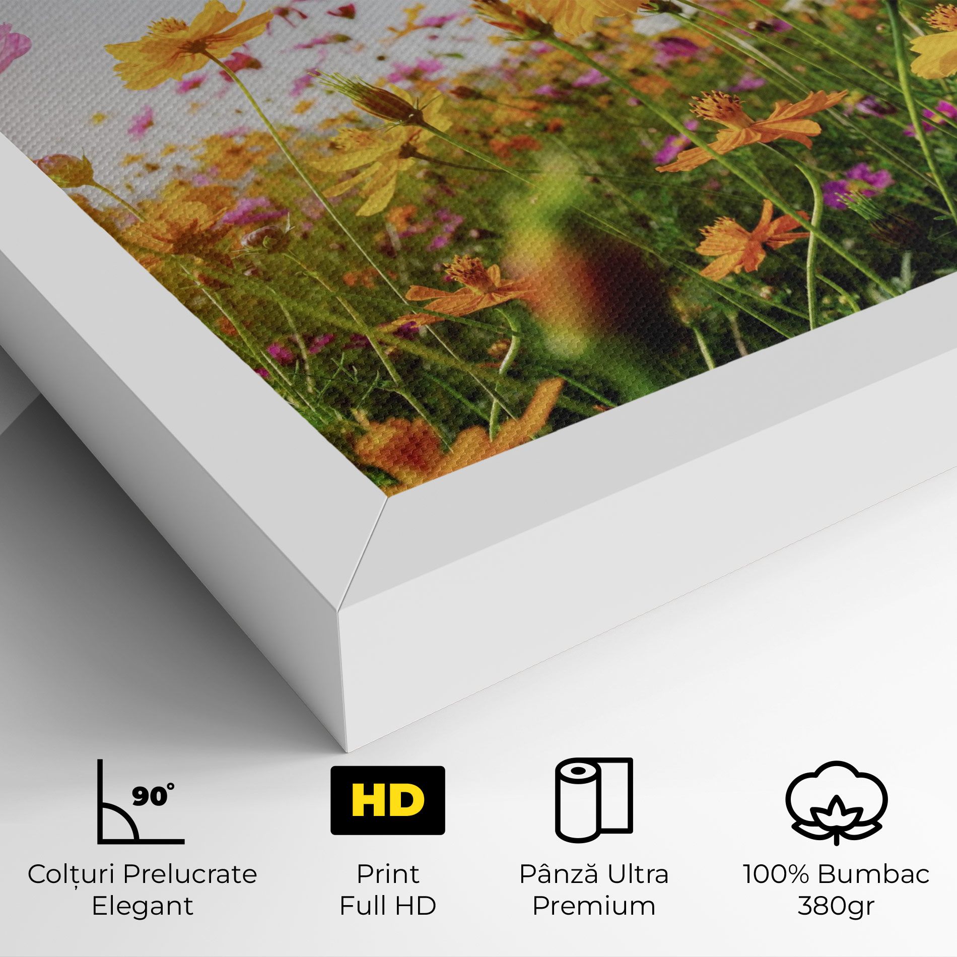 Cosmos Field Sunset mockup 4