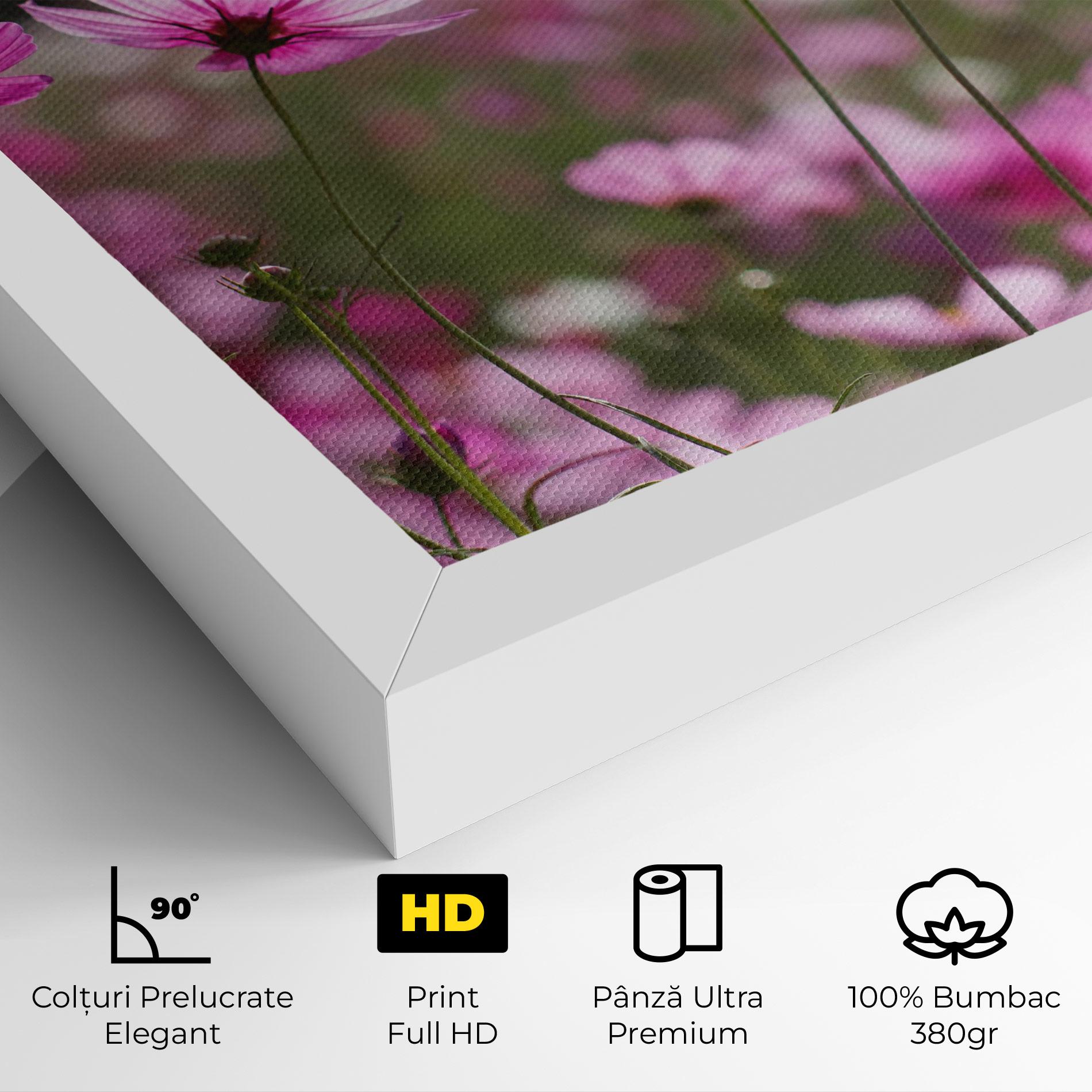 Tablou Canvas Cosmos Flower mockup 4