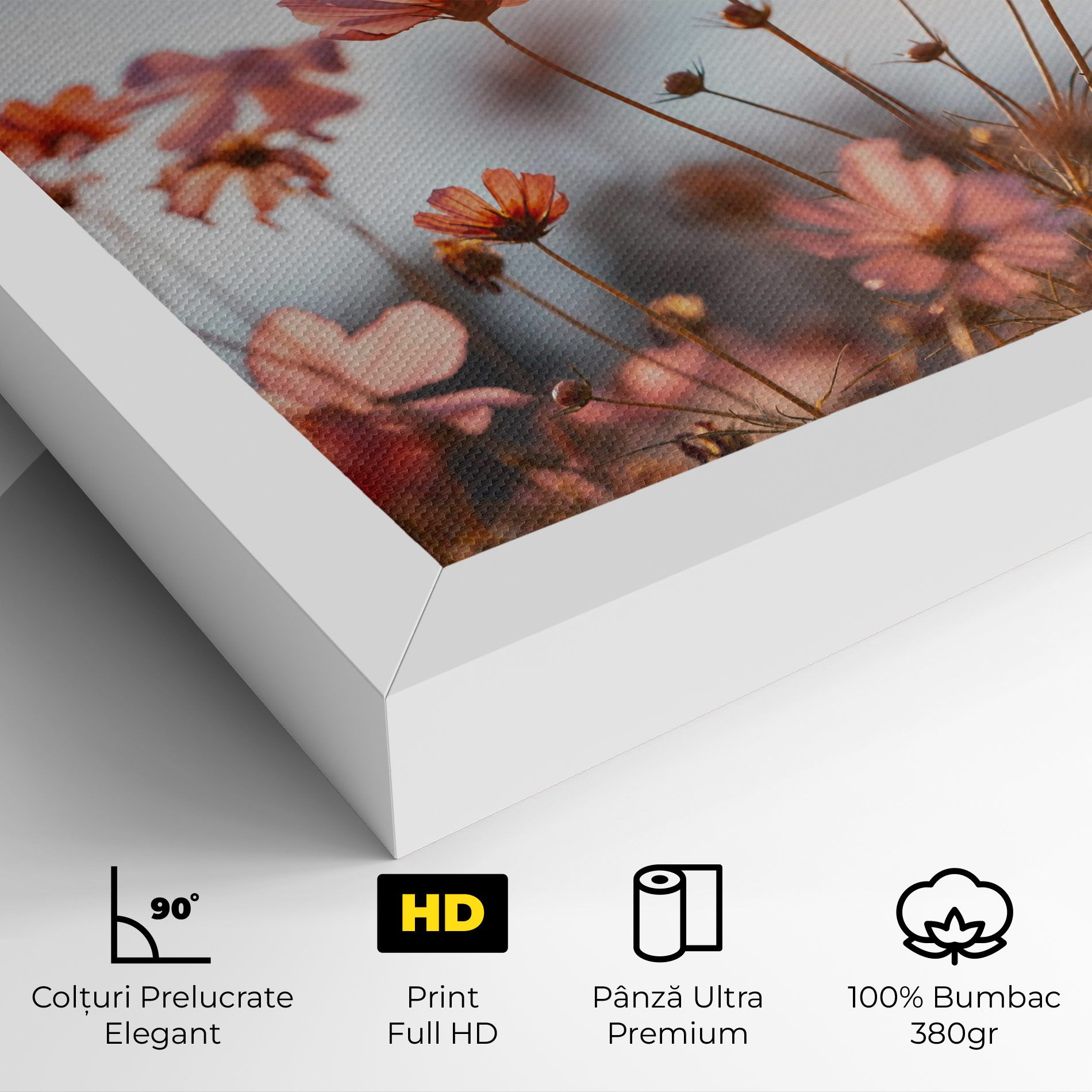 Cosmos Flowers Beautiful mockup 4