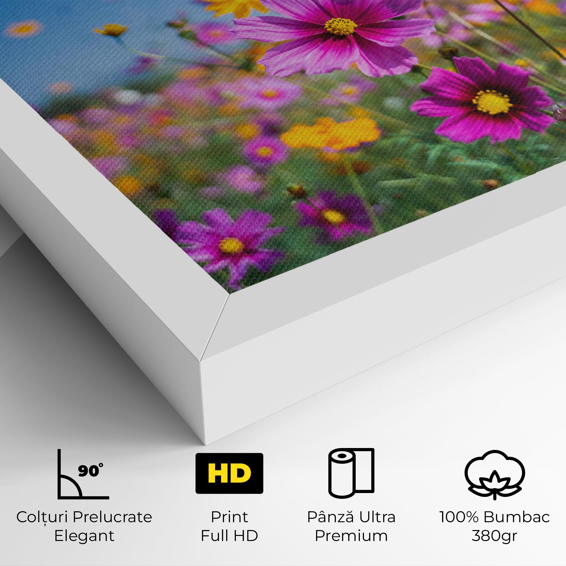 Tablou Canvas Cosmos Flowers Grassland mockup 4