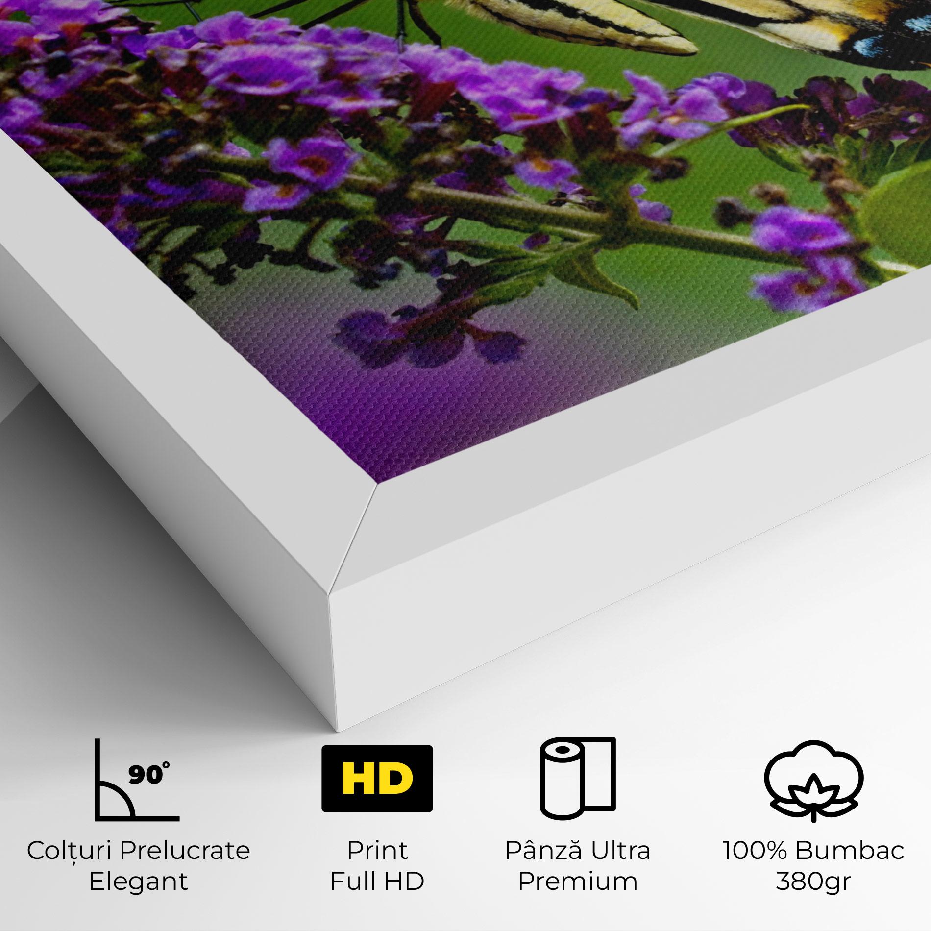 Tablou Canvas Cream Wild Butterfly mockup 4