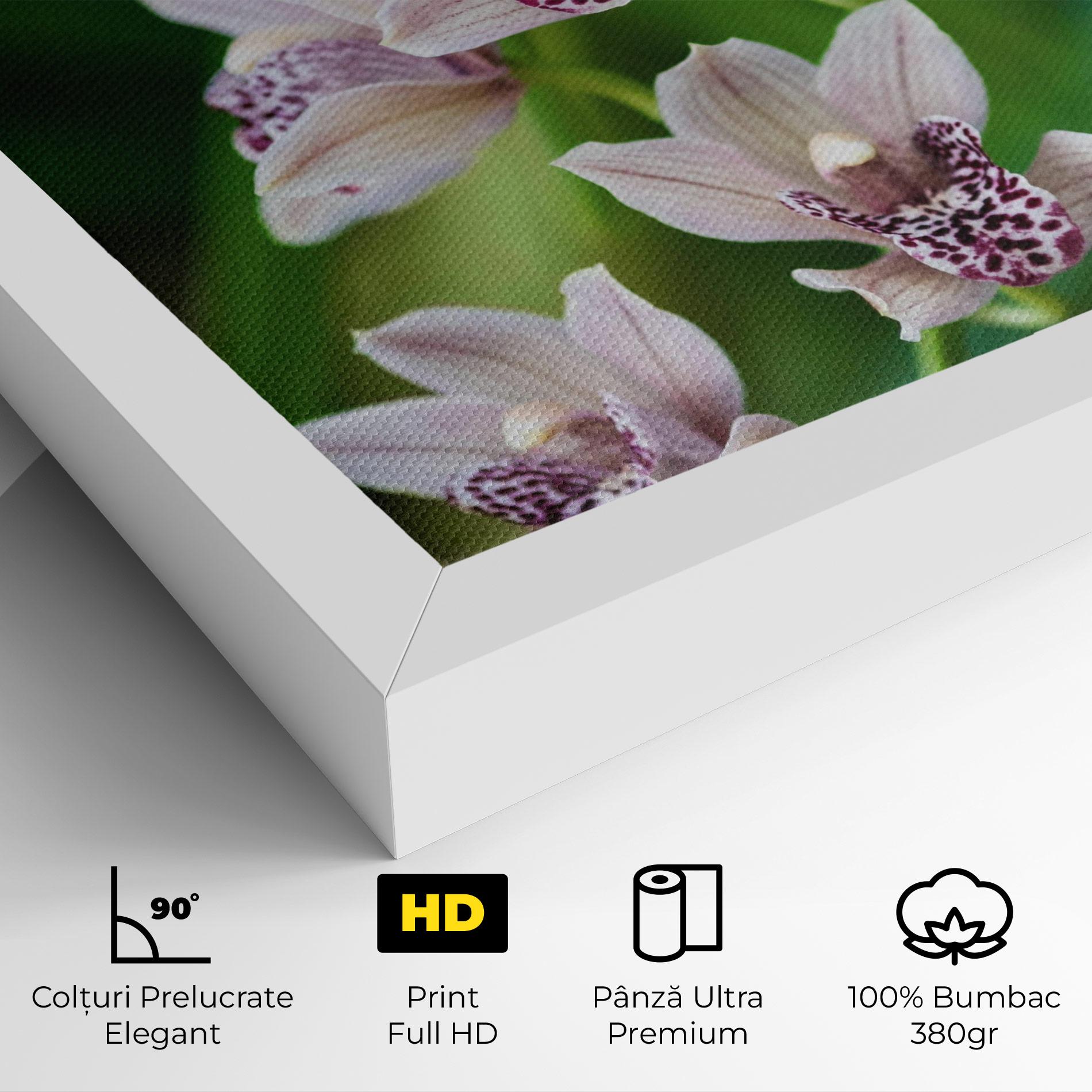Tablou Canvas Cymbidium Orchid mockup 4