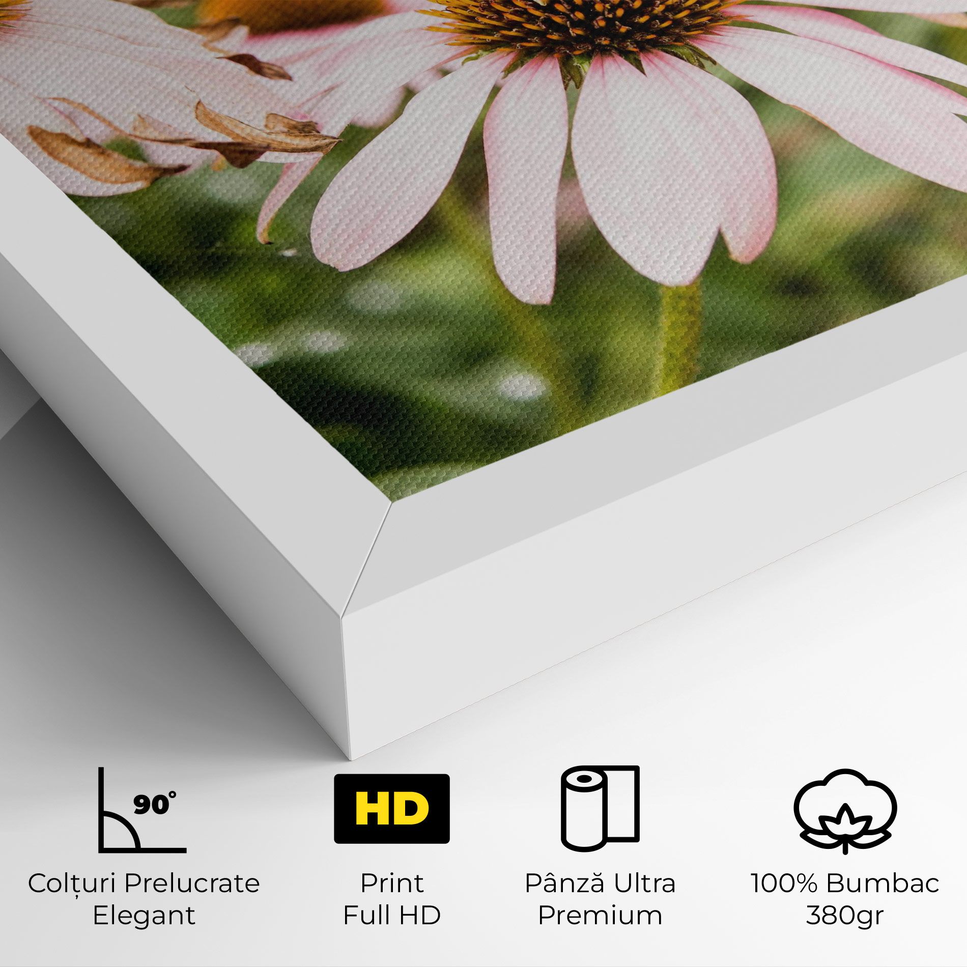 Daylight Bee mockup 4