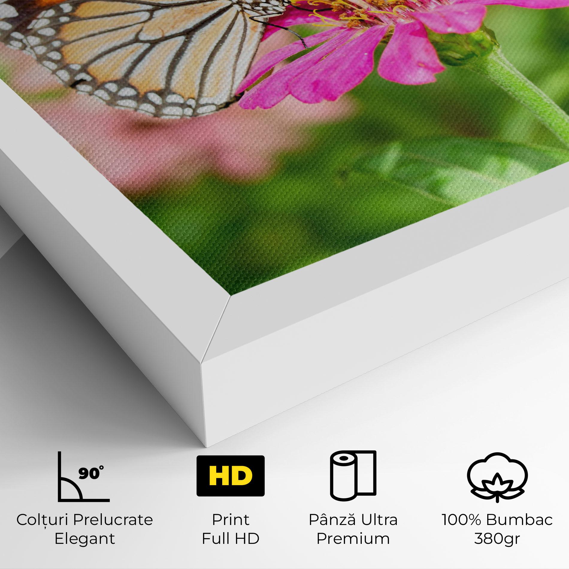 Tablou Canvas Daylight Butterfly mockup 4