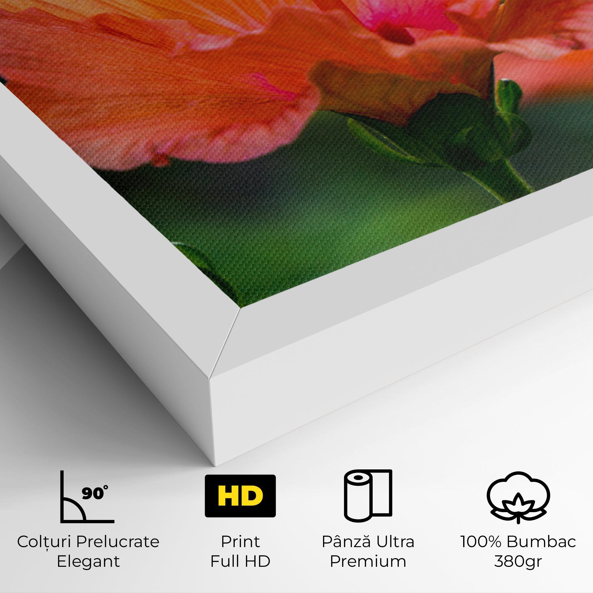 Orange Wild Flower mockup 4