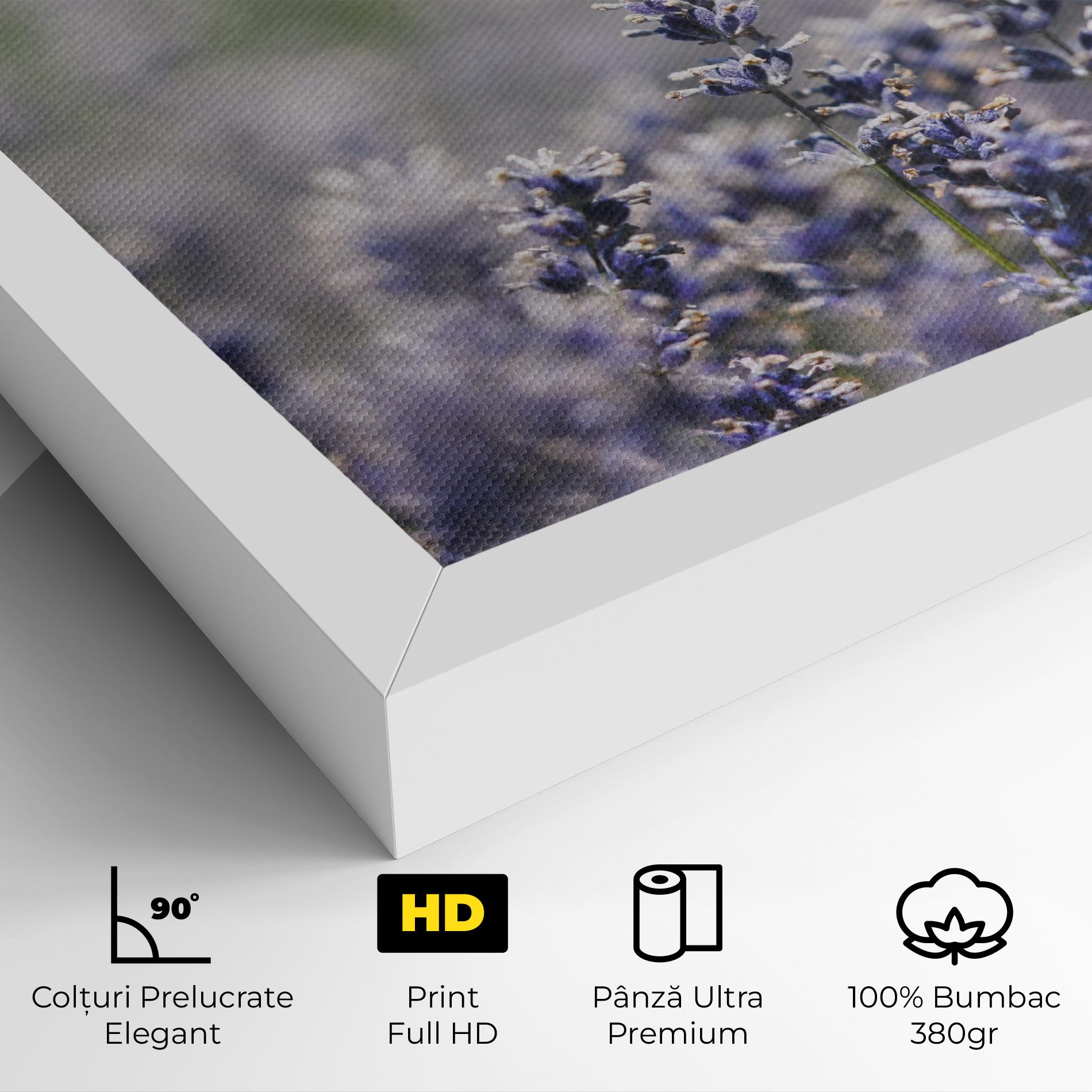 White Purple Wild mockup 4