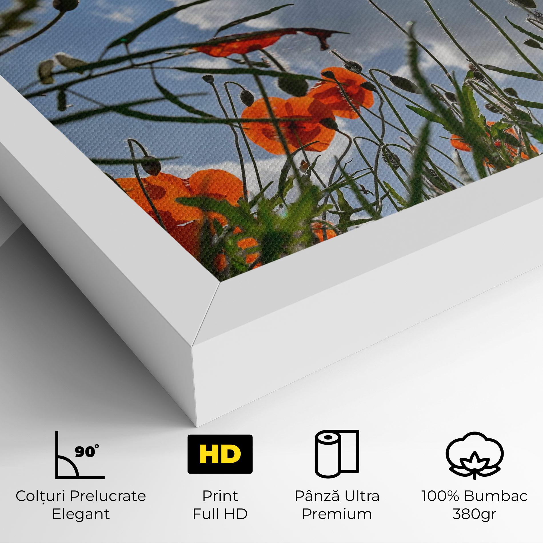 Tablou Canvas Wild Poppy Daylight mockup 4