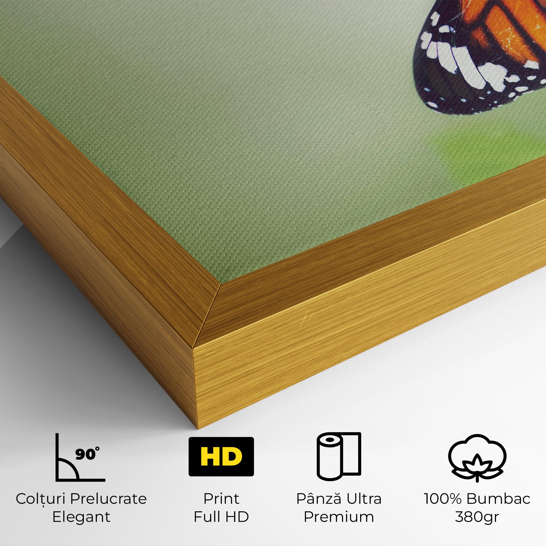 Tablou Canvas Butterfly Wild Plant mockup 4