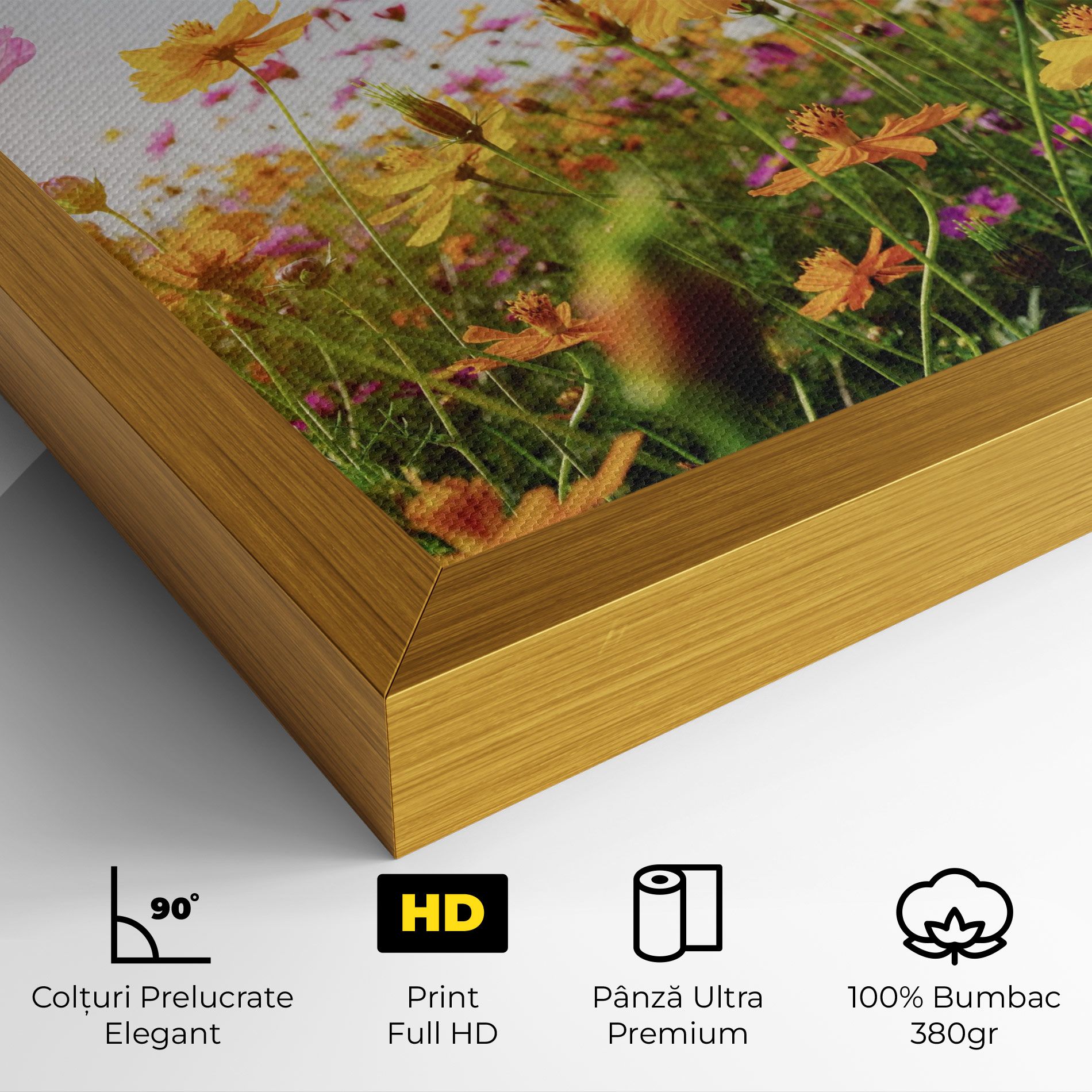 Cosmos Field Sunset mockup 4