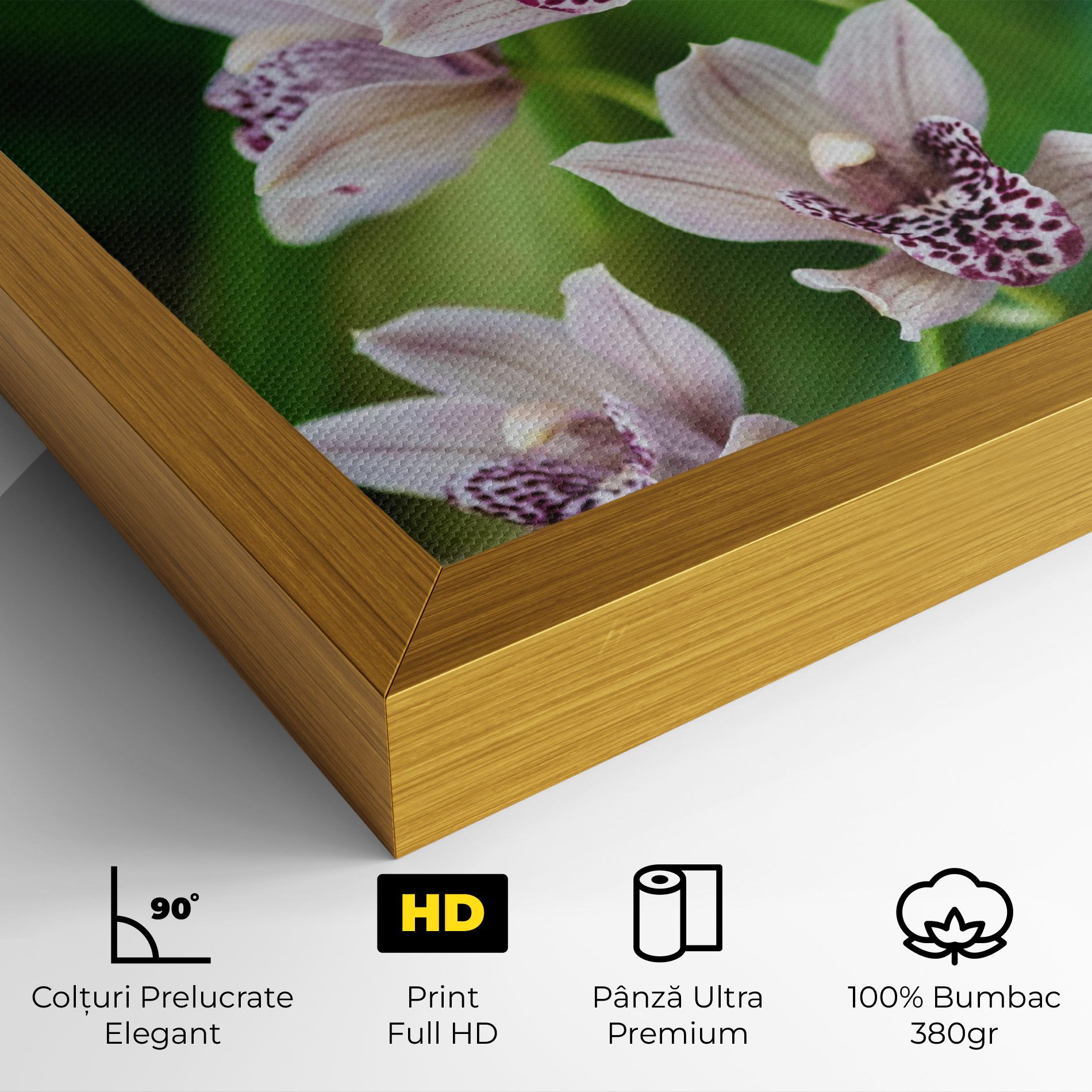 Cymbidium Orchid mockup 4
