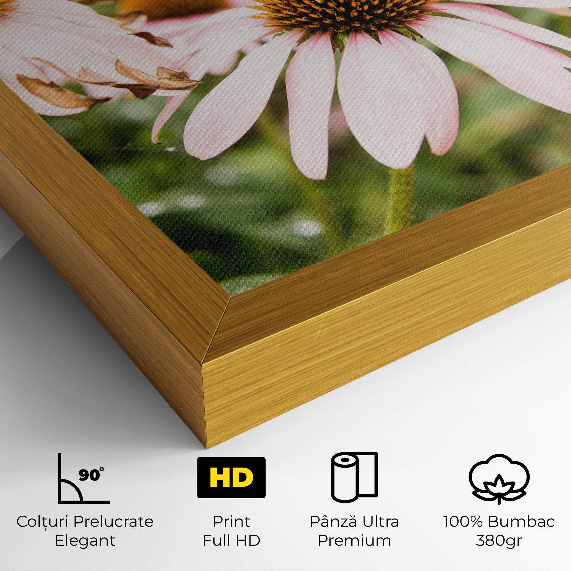 Daylight Bee mockup 4