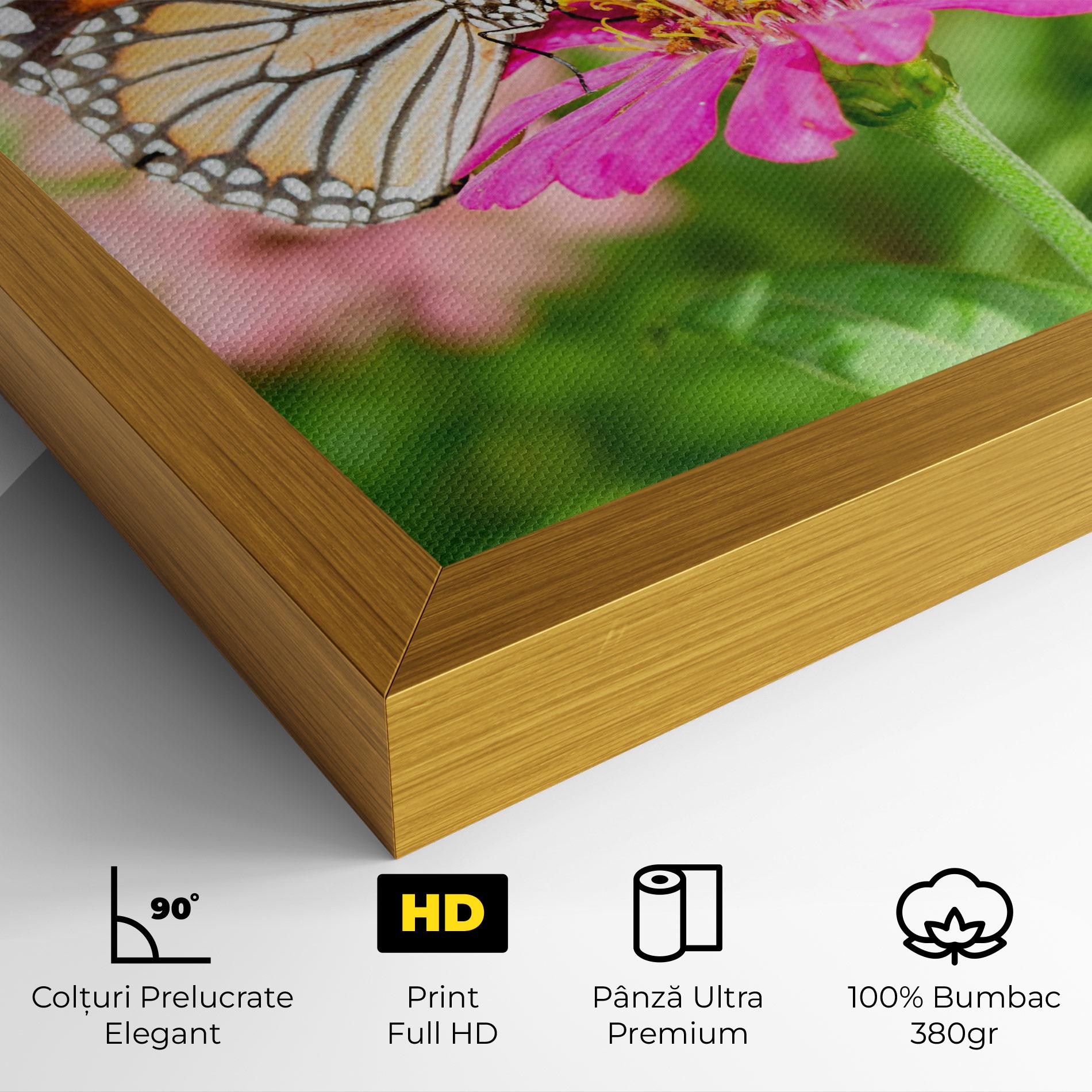 Tablou Canvas Daylight Butterfly mockup 4