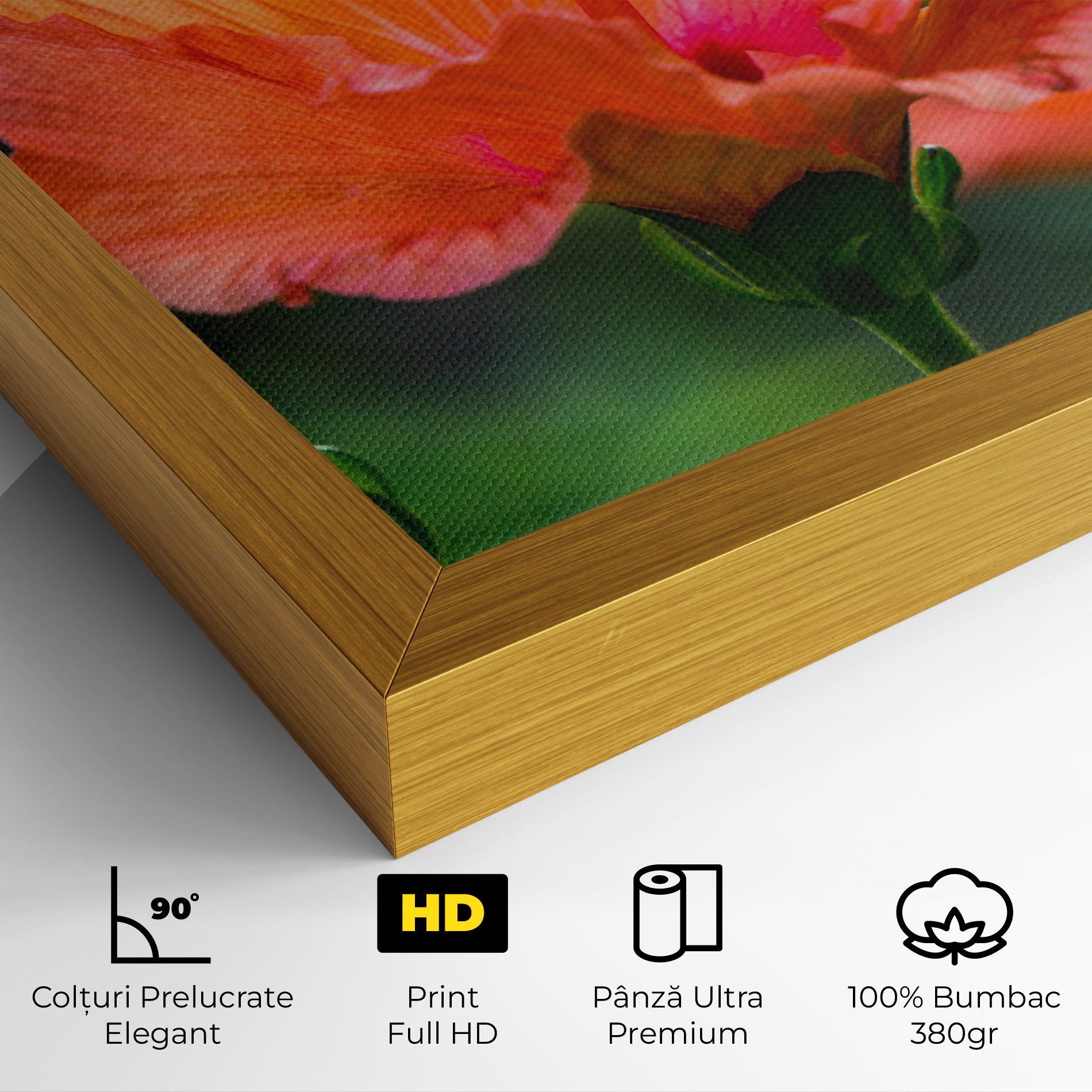 Orange Wild Flower mockup 4