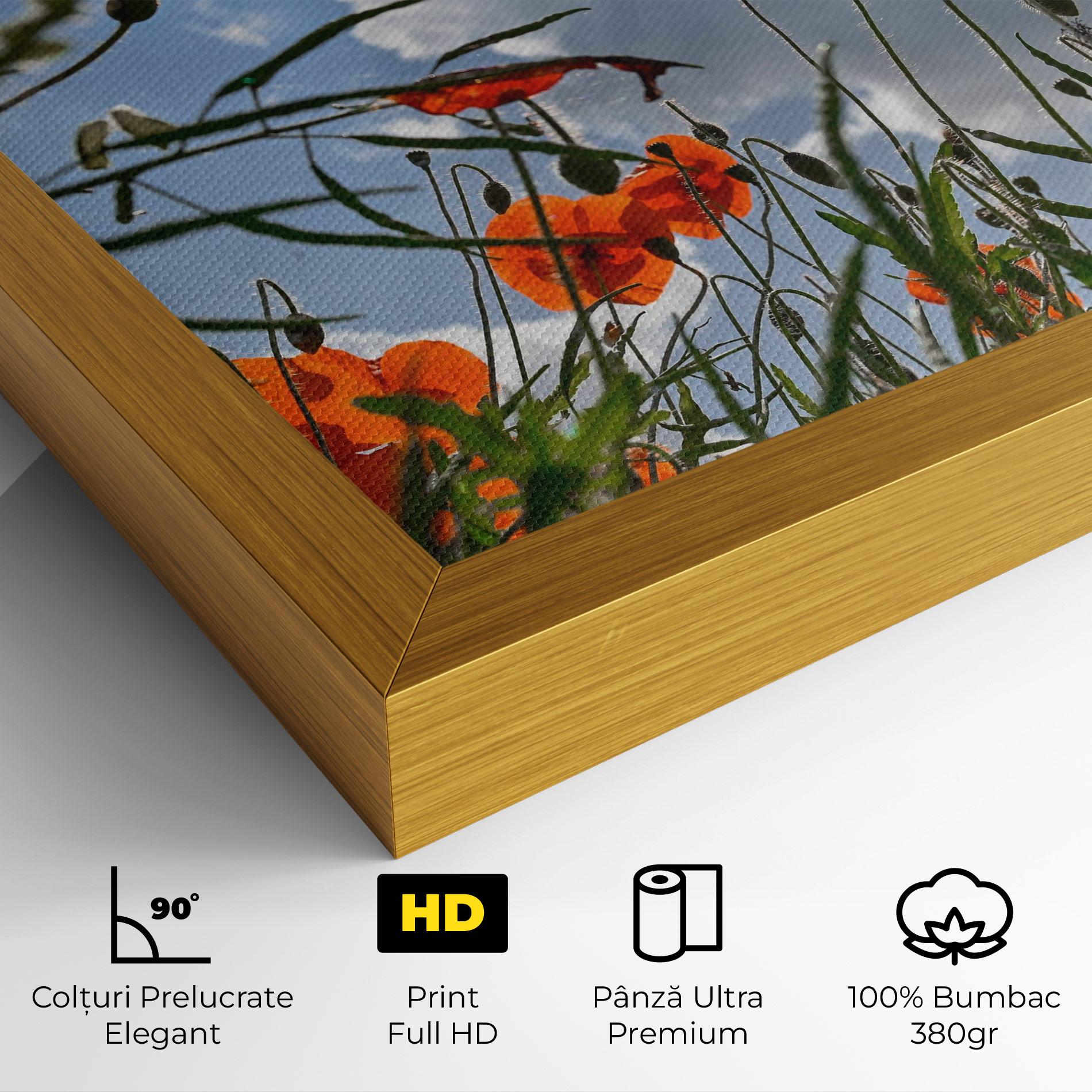 Tablou Canvas Wild Poppy Daylight mockup 4