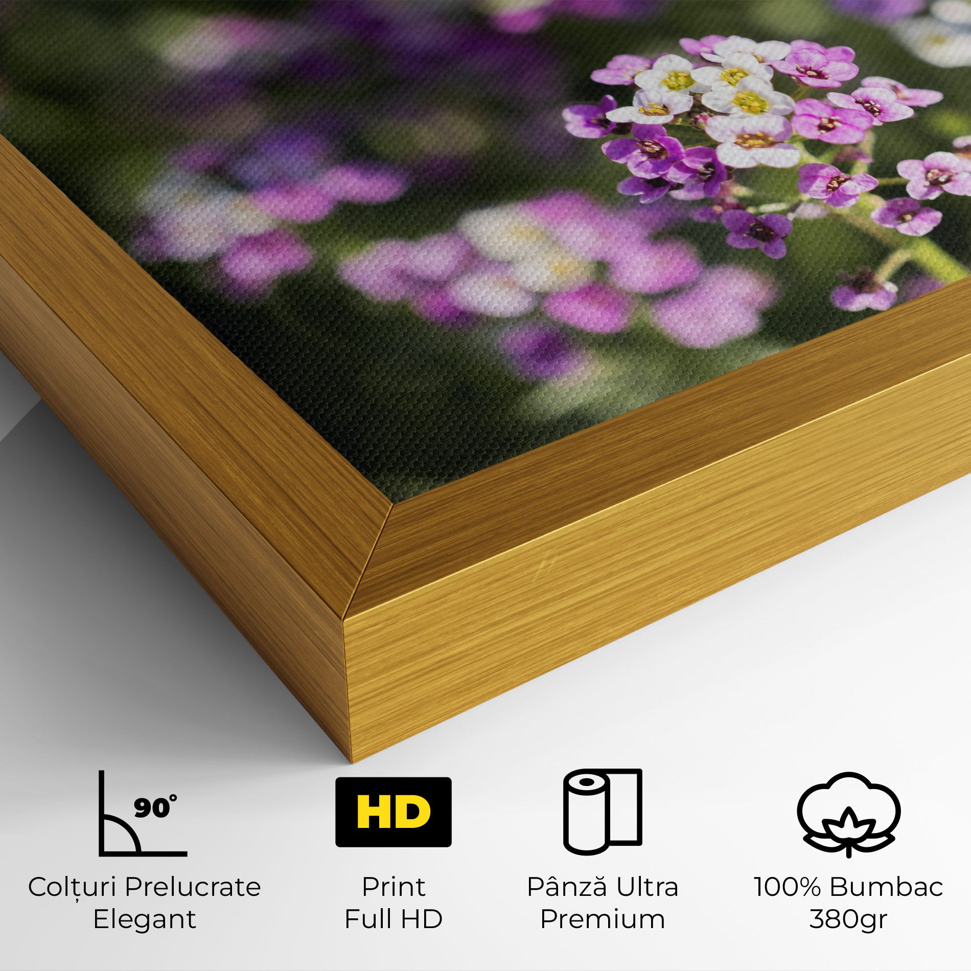 Wild Purple Field mockup 4