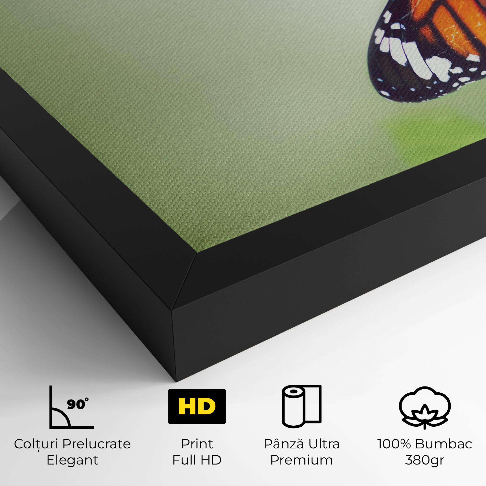 Tablou Canvas Butterfly Wild Plant mockup 4