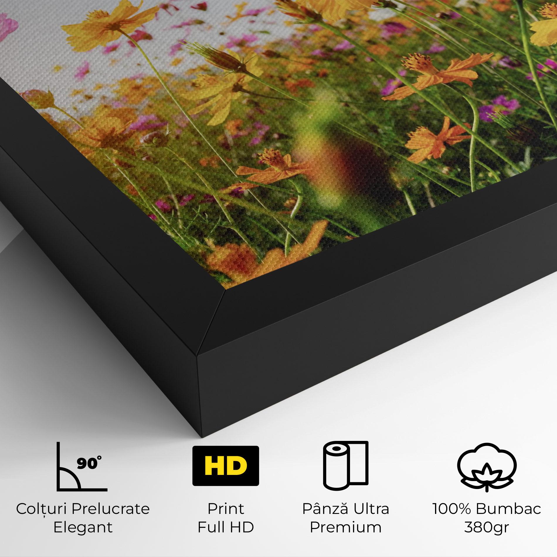 Tablou Canvas Cosmos Field Sunset mockup 4