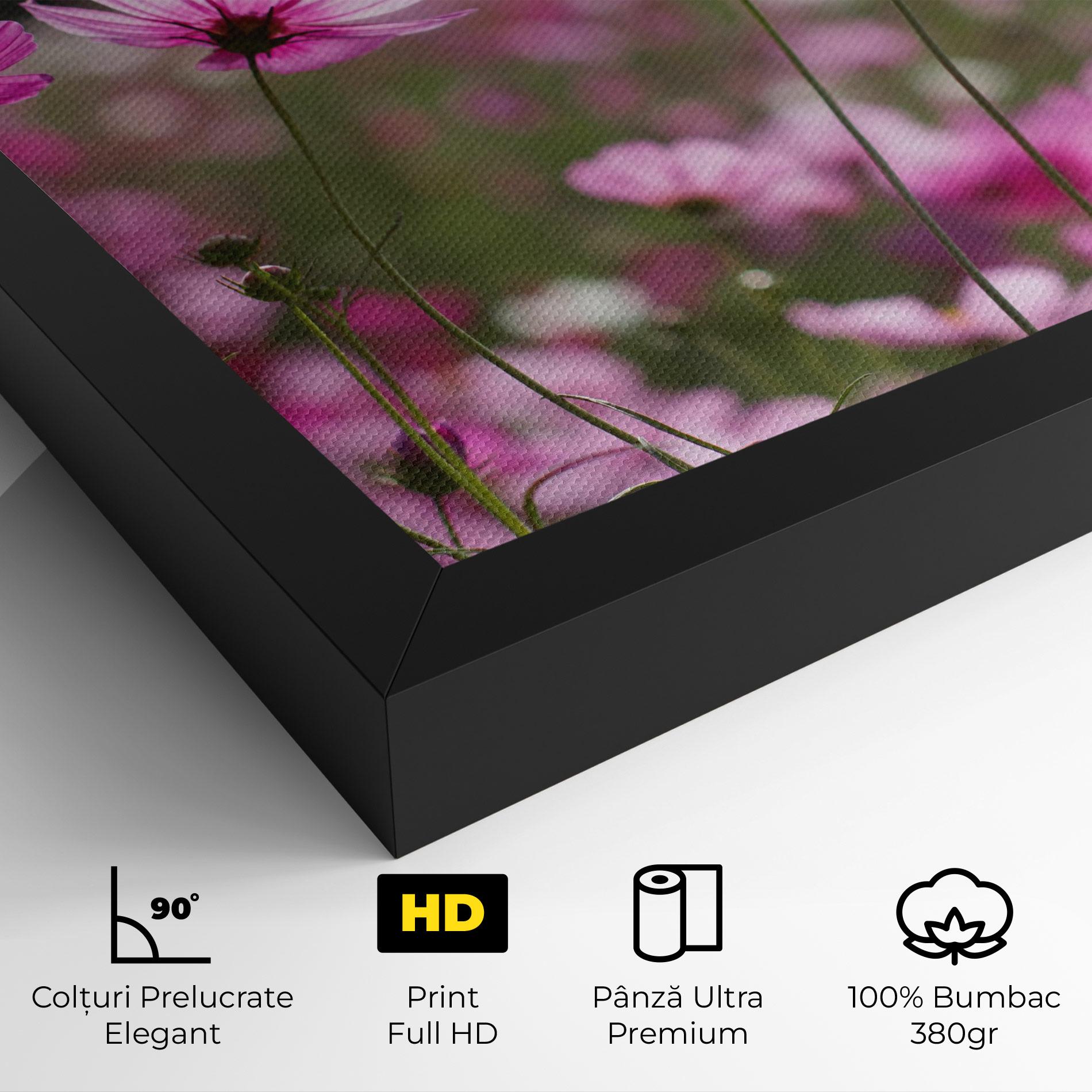 Tablou Canvas Cosmos Flower mockup 4