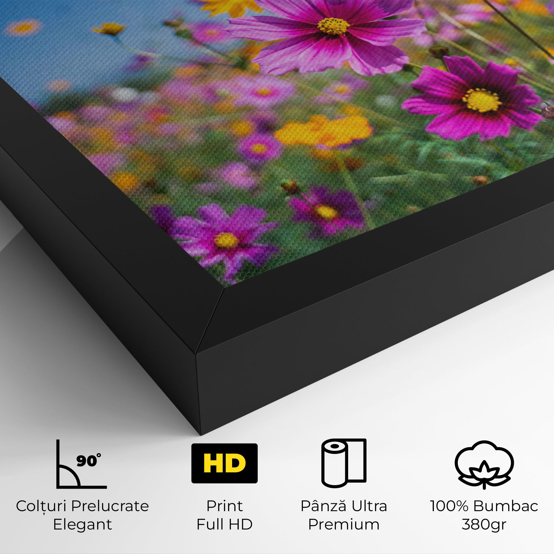 Cosmos Flowers Grassland mockup 4