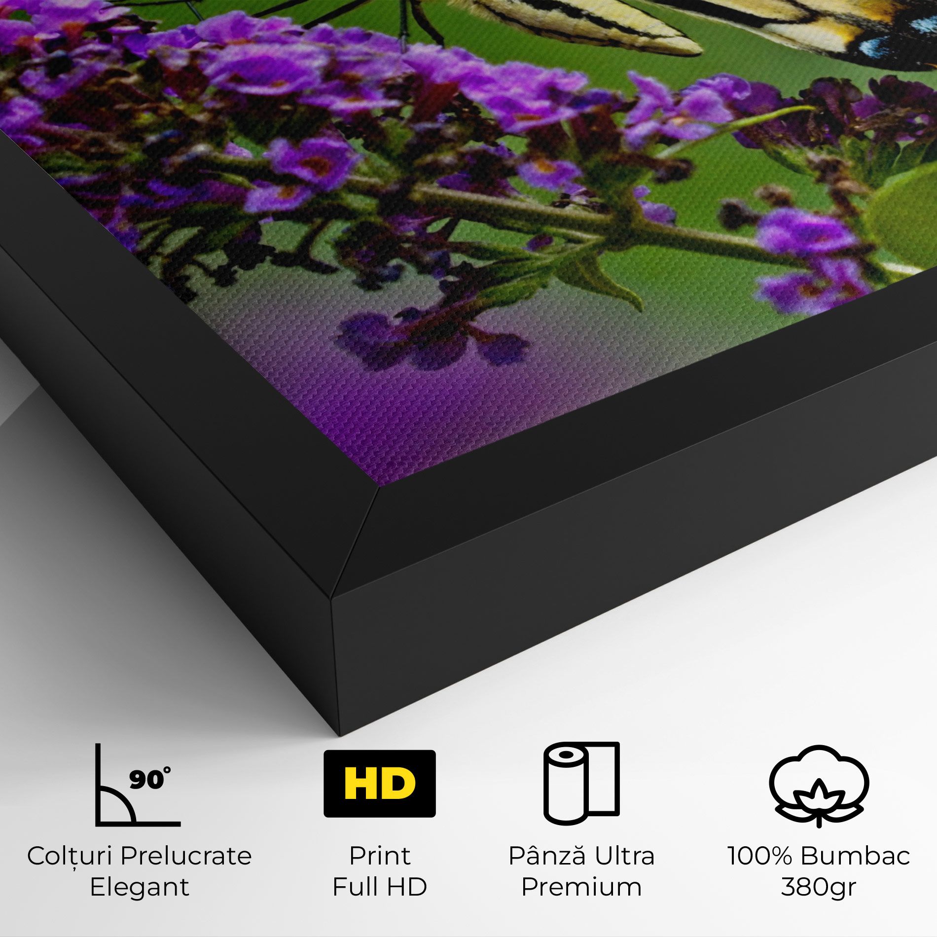 Cream Wild Butterfly mockup 4