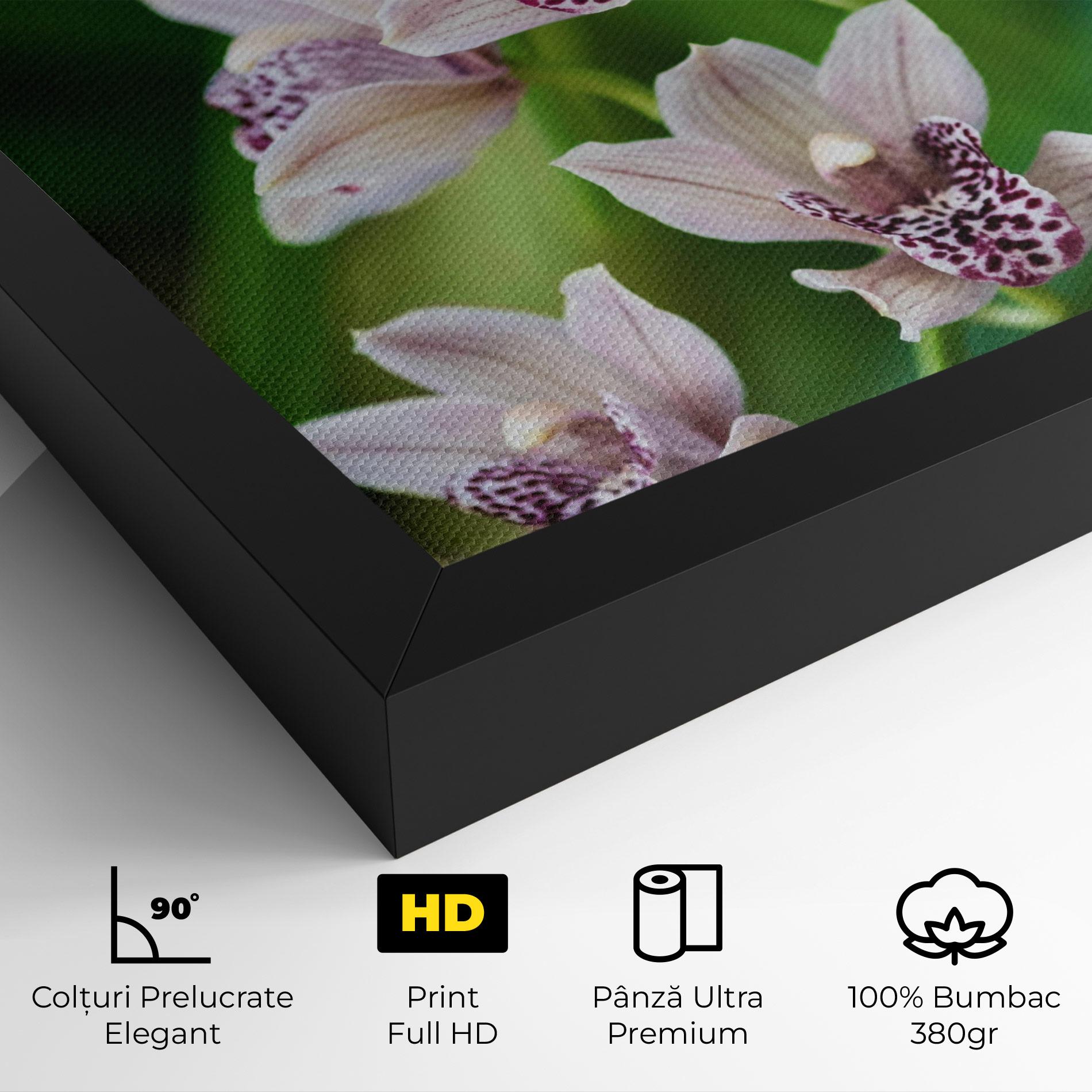 Tablou Canvas Cymbidium Orchid mockup 4